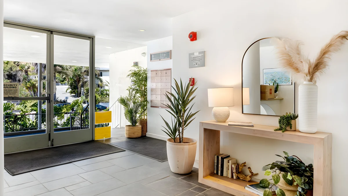 Wander Carbon Beach Shores