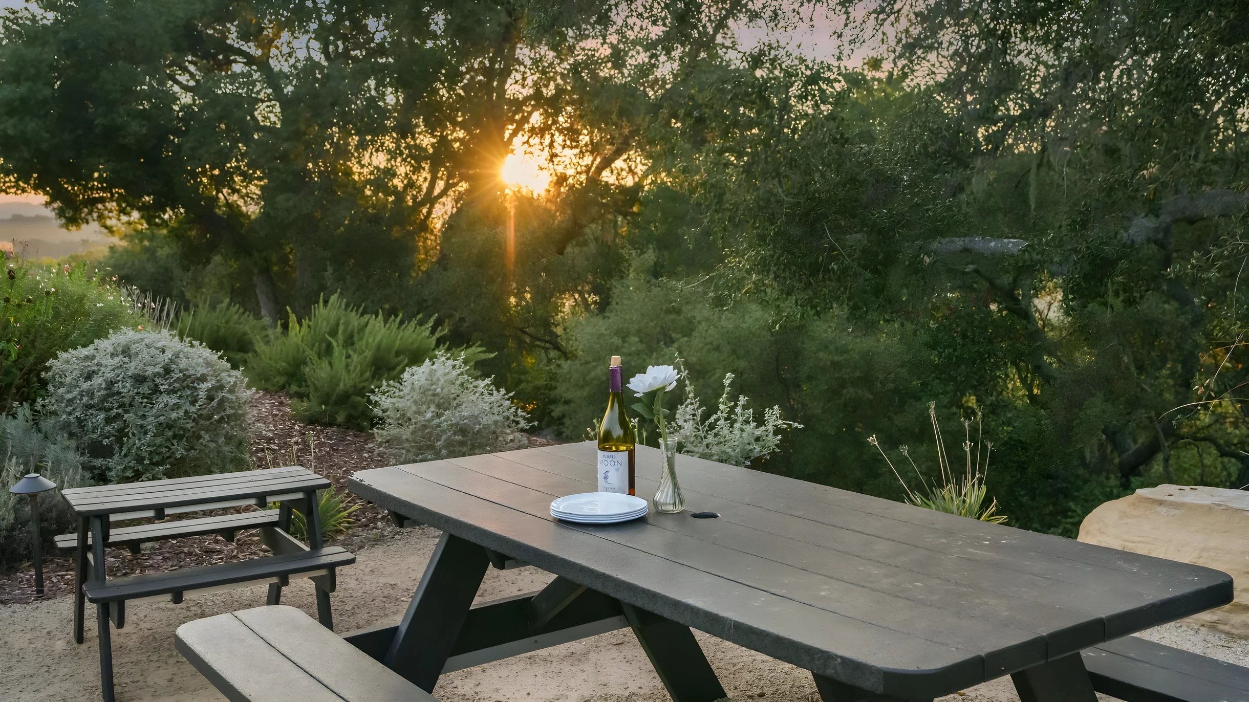 Wander Paso Robles Haze #72