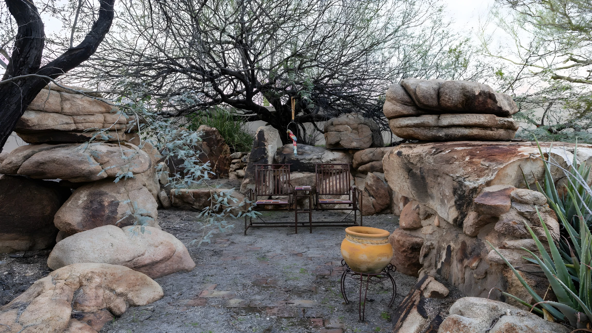 Wander Cave Creek Desert #66