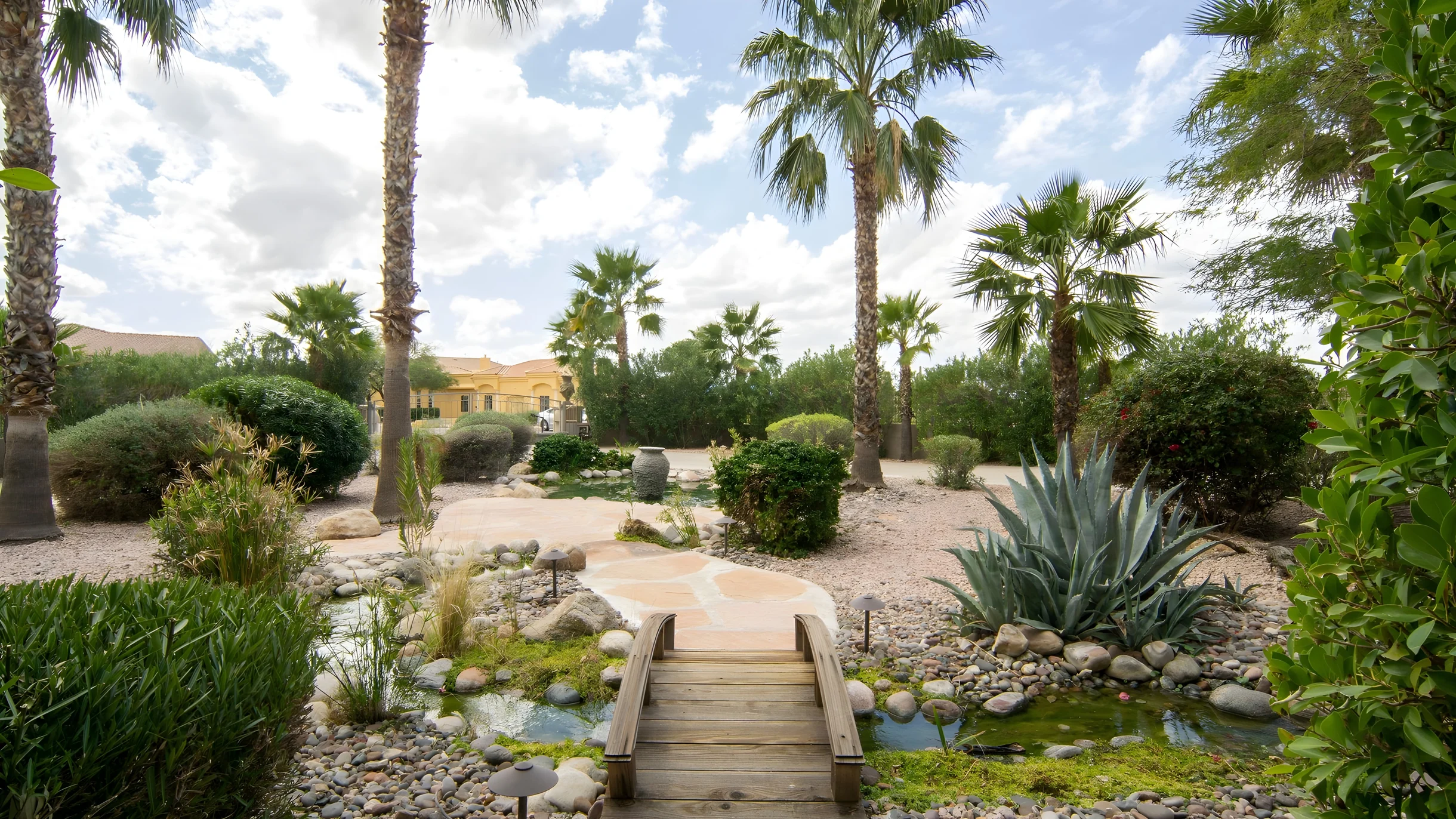Wander North Scottsdale Desert #34