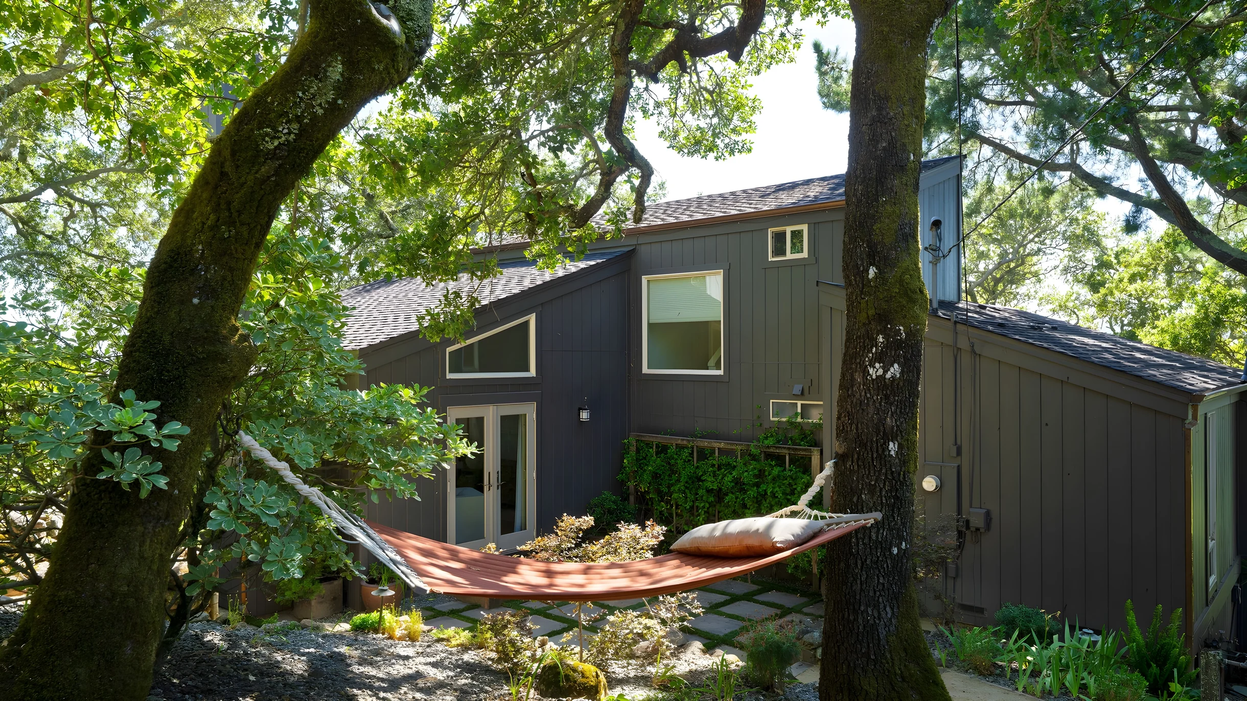 Wander Sonoma Groves #70