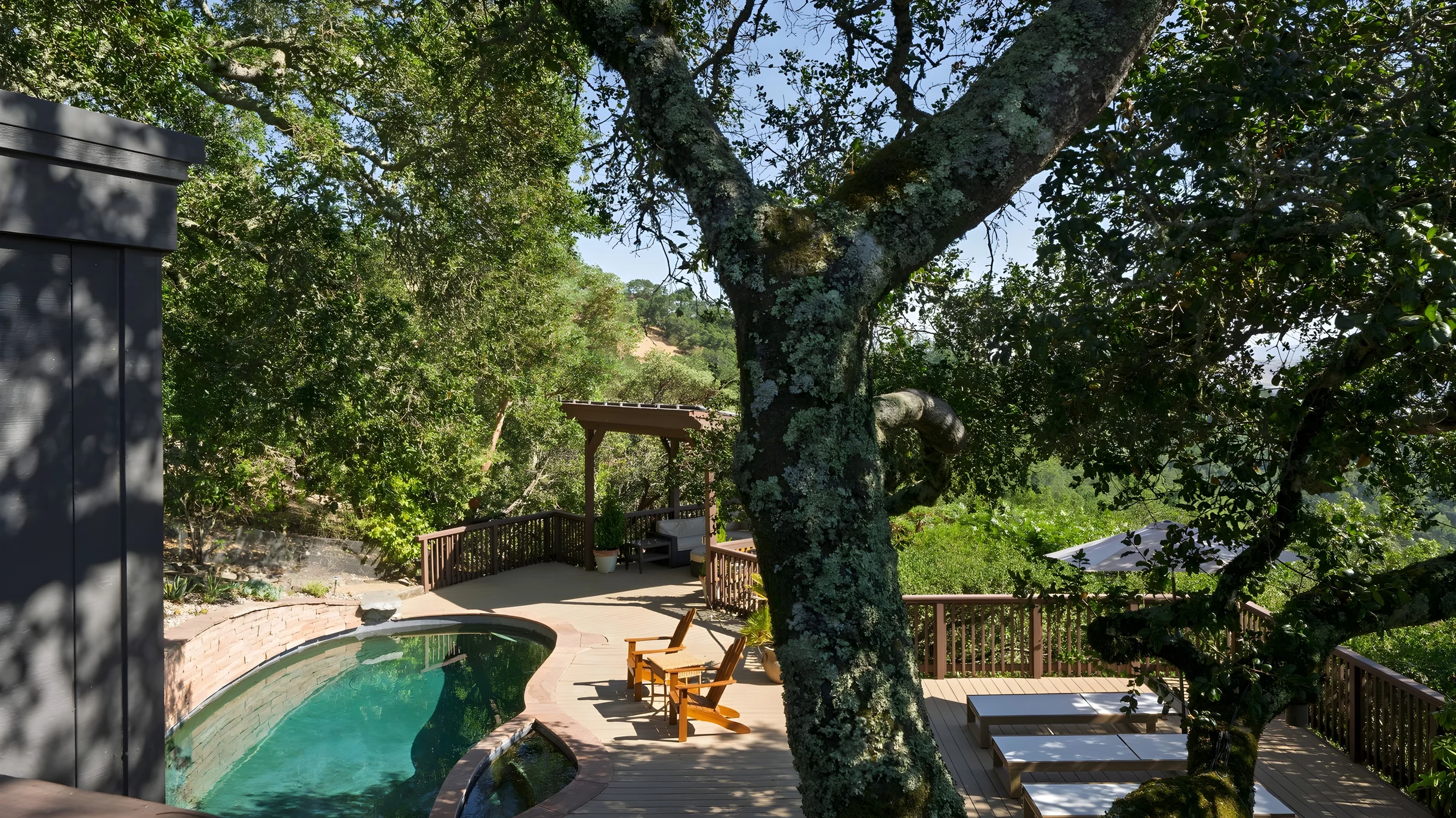 Wander Sonoma Groves #65