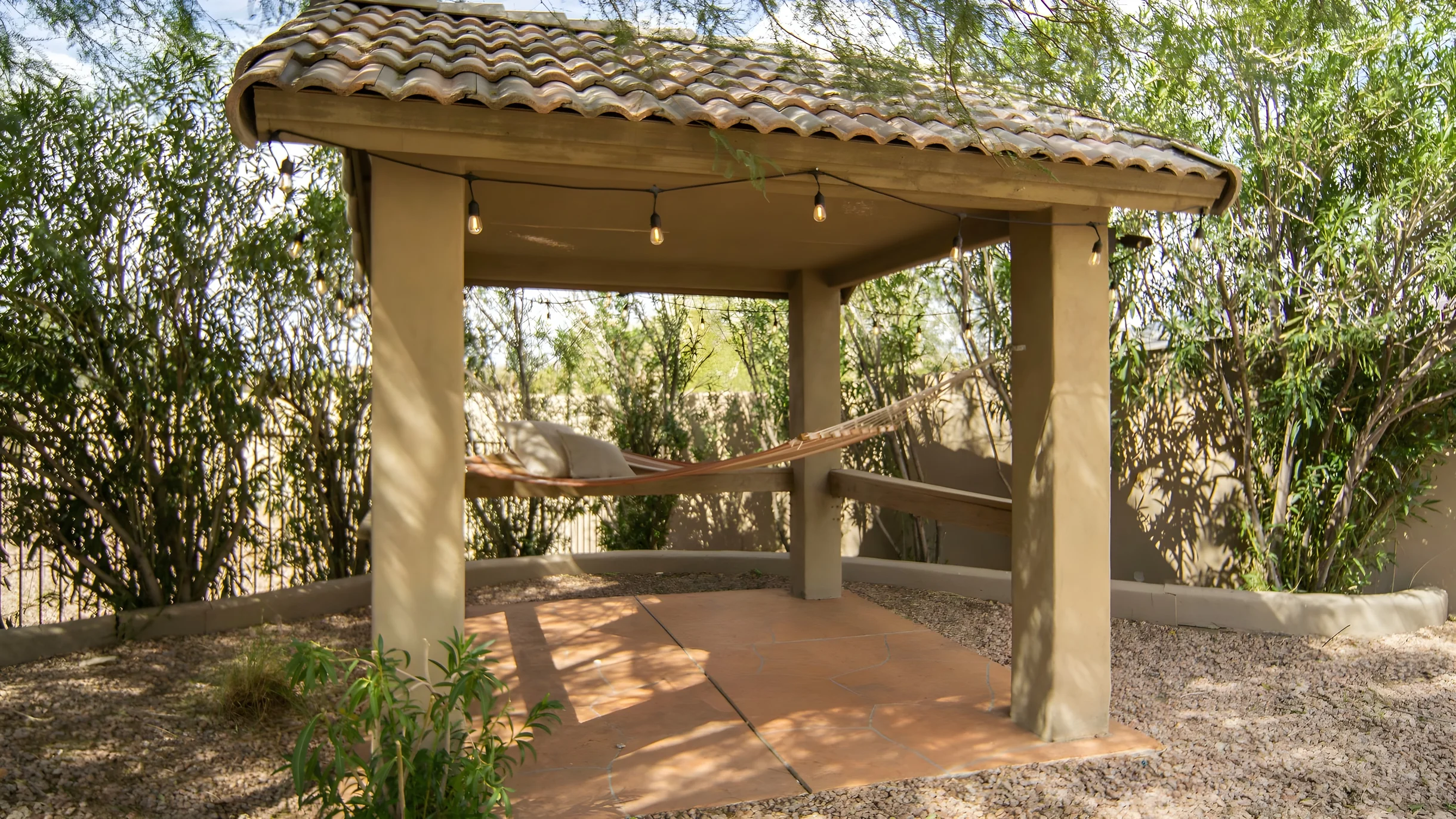 Wander North Scottsdale Desert #35