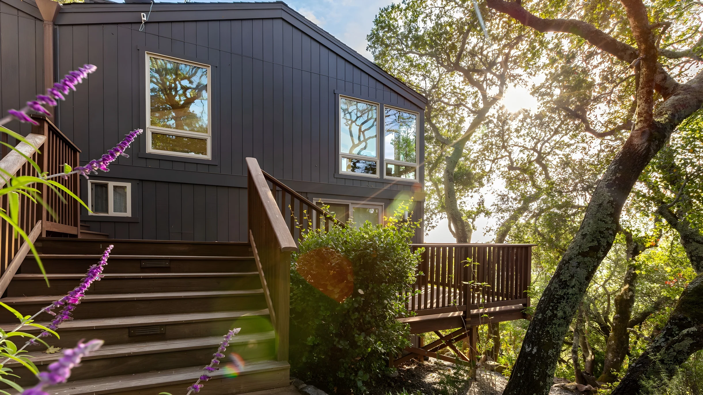 Wander Sonoma Groves #5