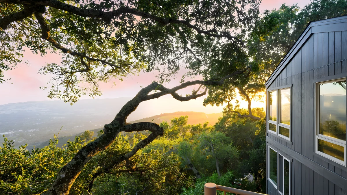 Wander Sonoma Groves