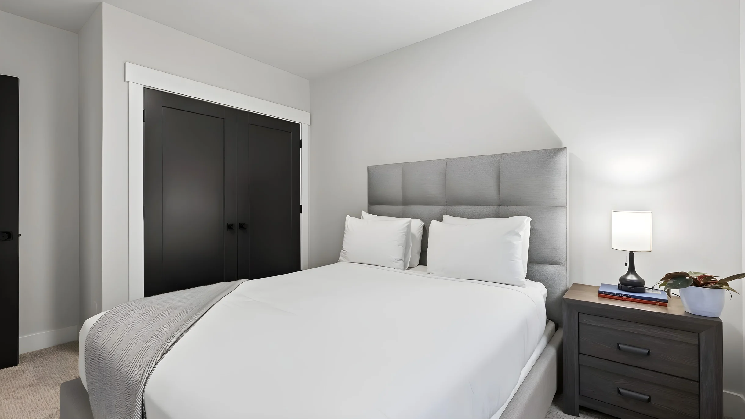 Wander Park City Timbers #37