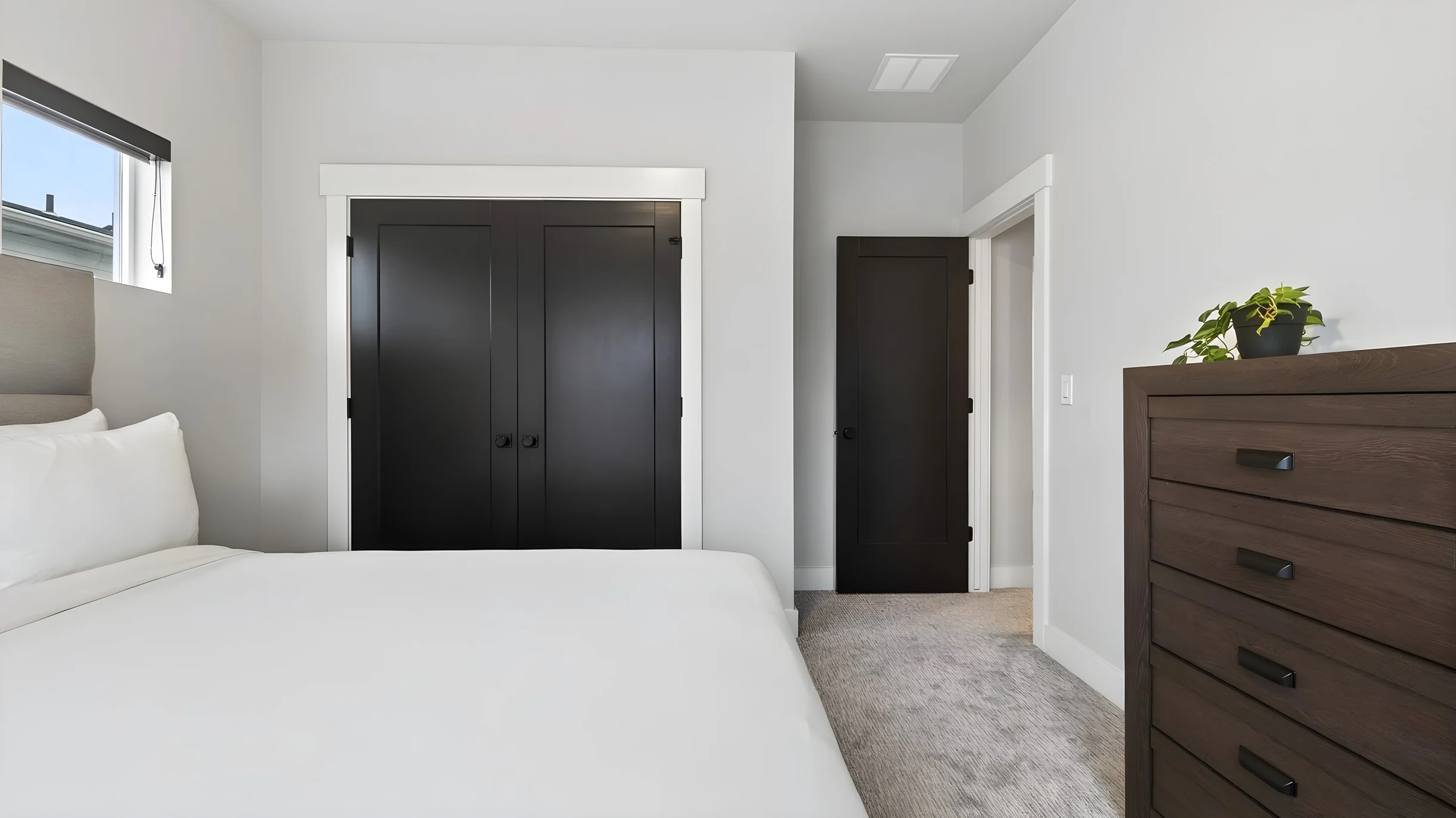 Wander Park City Timbers #39