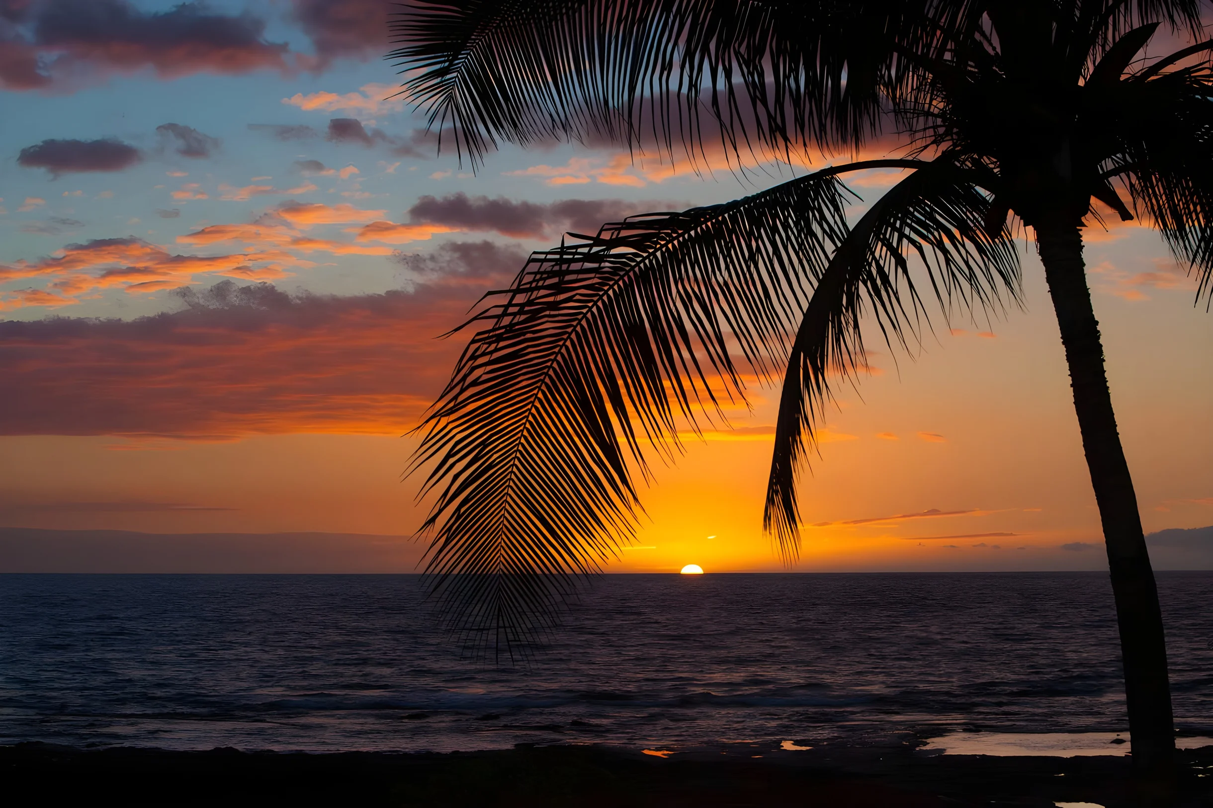 Wander Puako Oceanfront #60