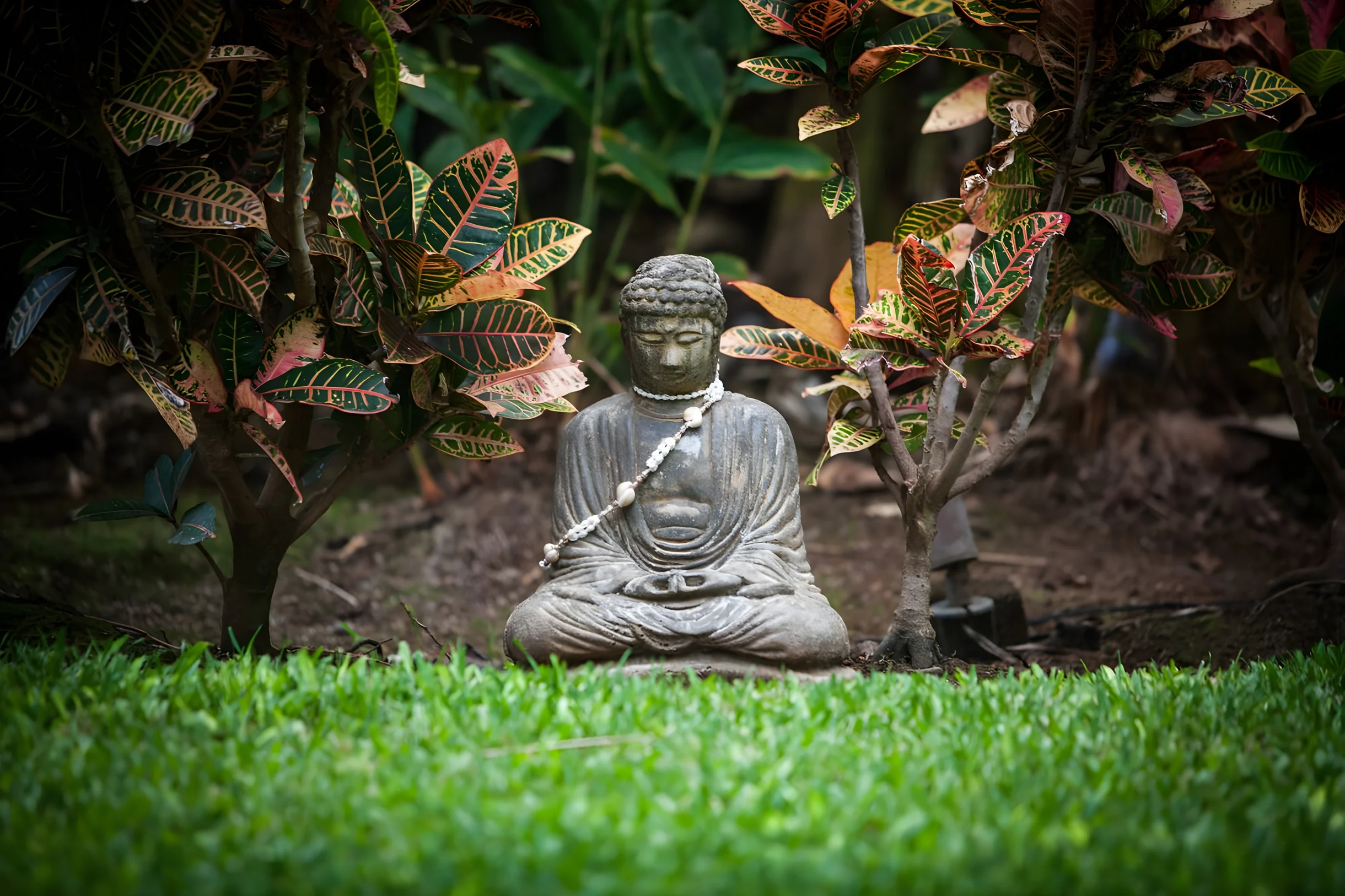 Wander Puako Oceanfront #42