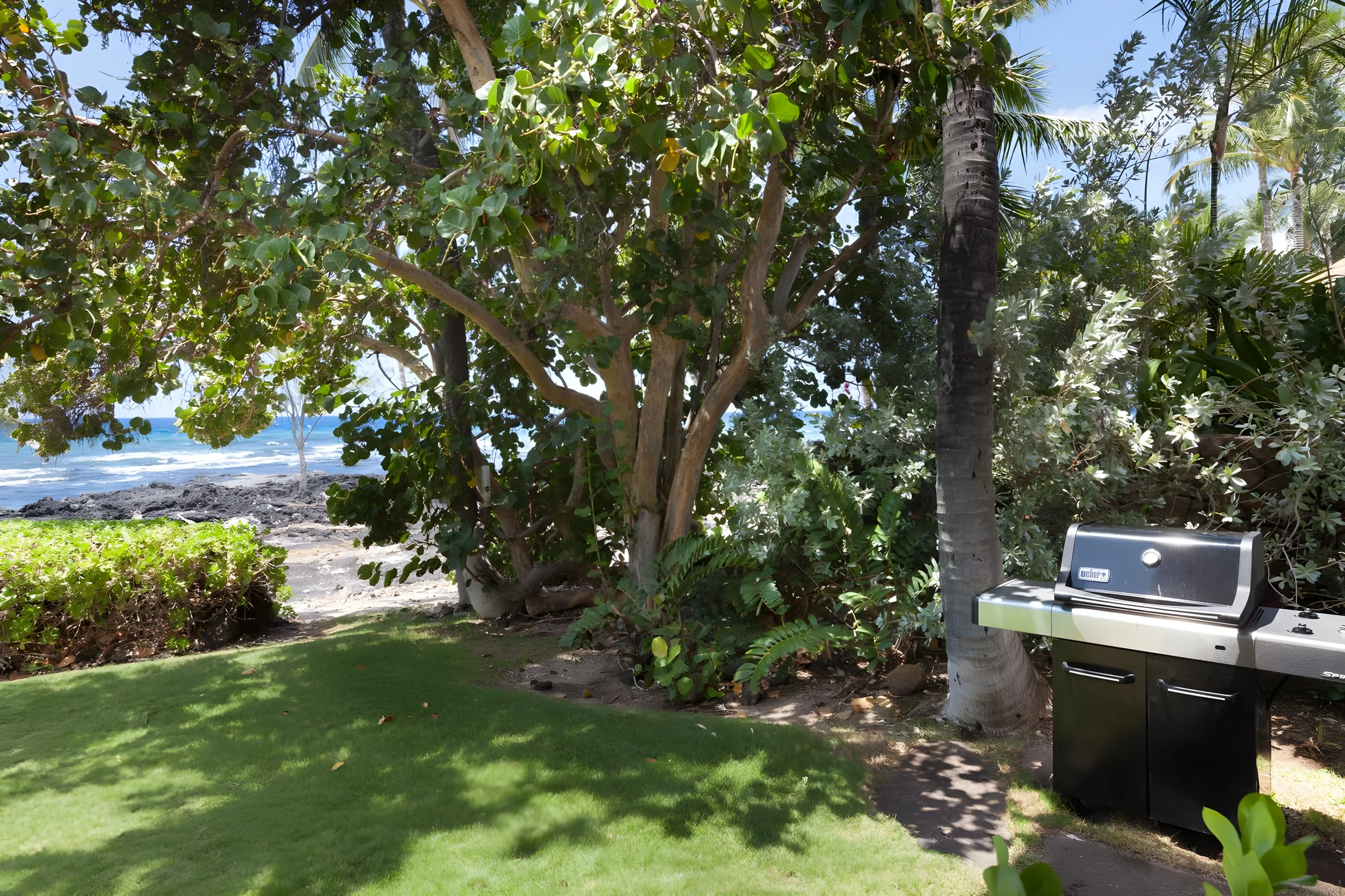 Wander Puako Oceanfront #75