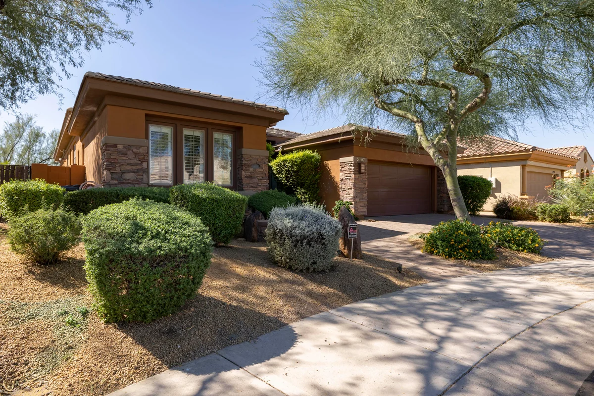 Wander Phoenix Desert