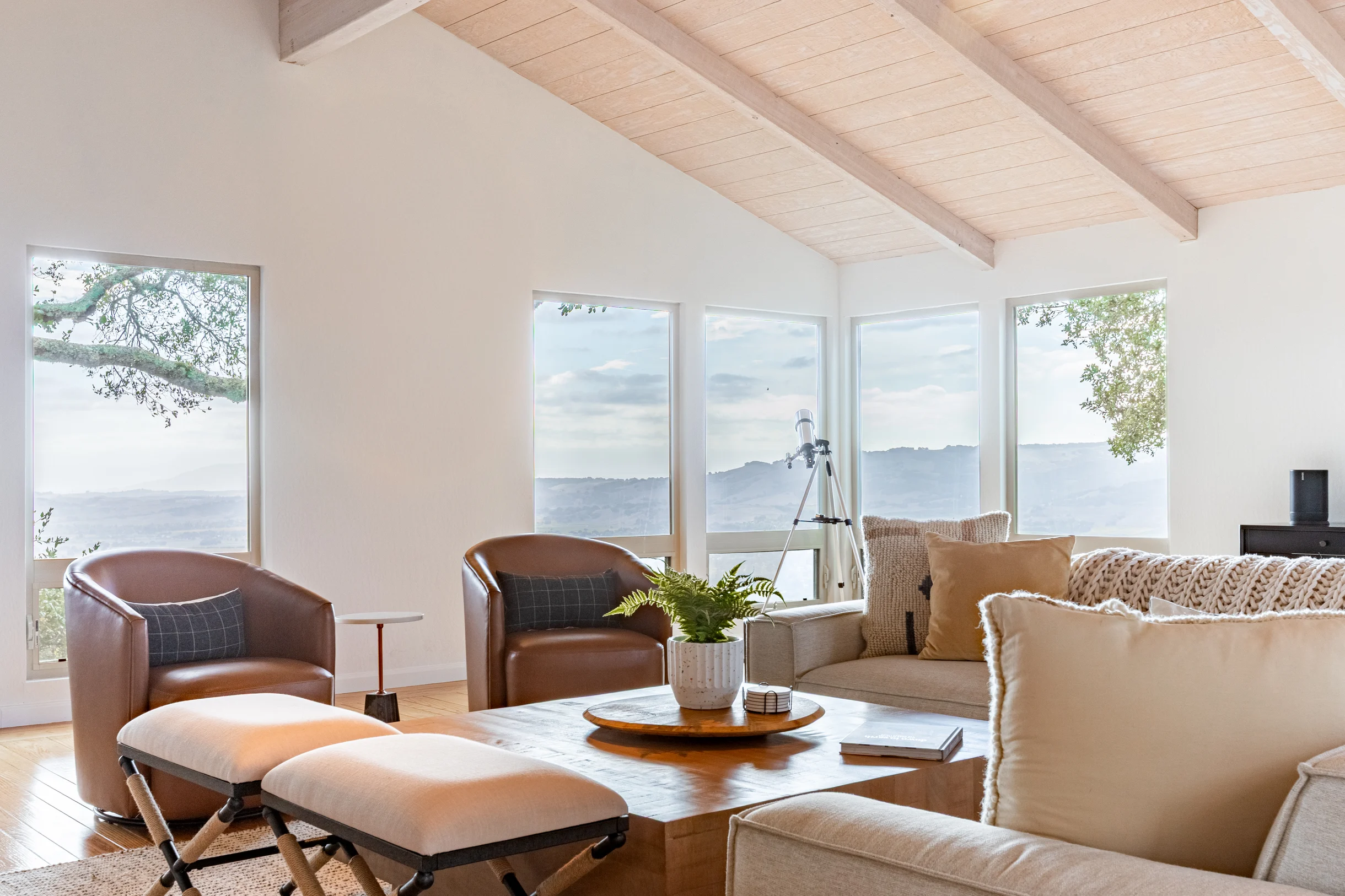 Wander Sonoma Groves #3