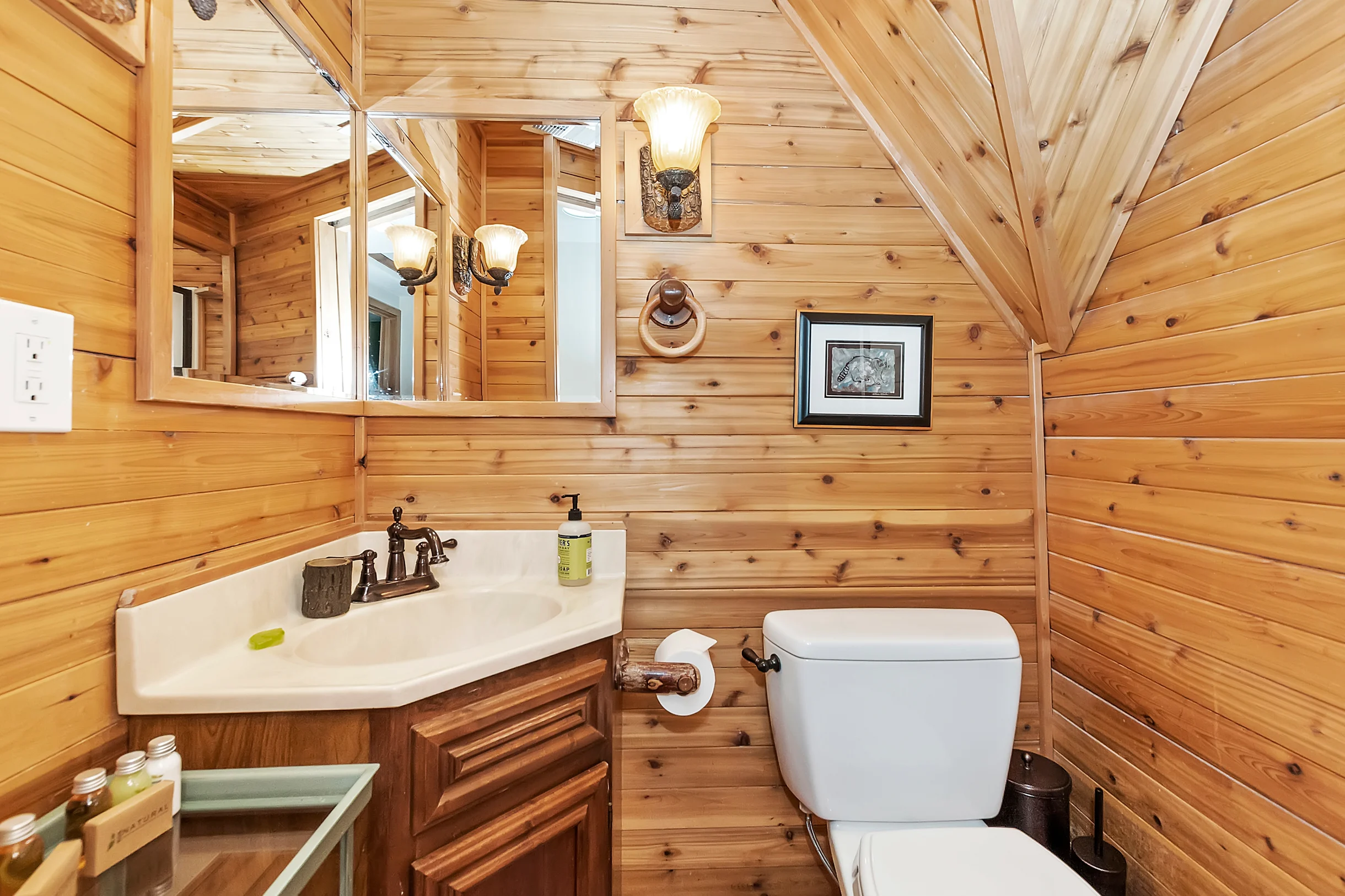 Wander Big Bear Lakefront #27