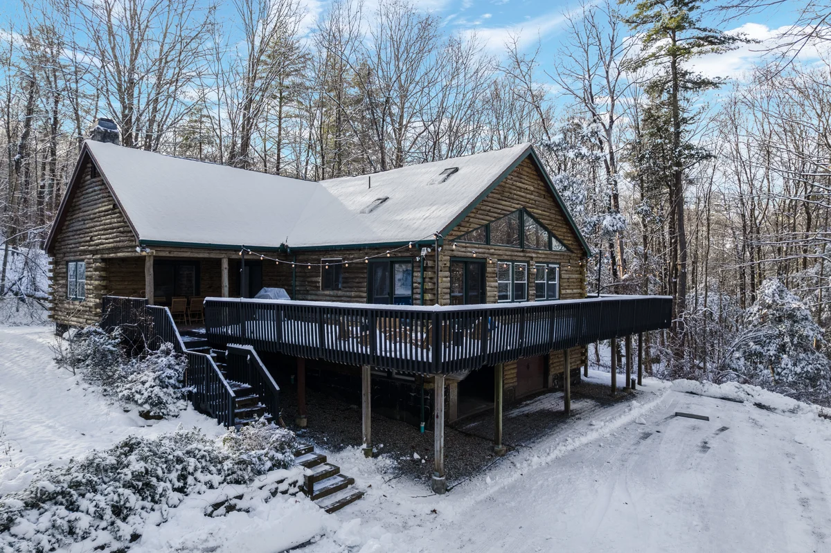 Wander Great Barrington Woods