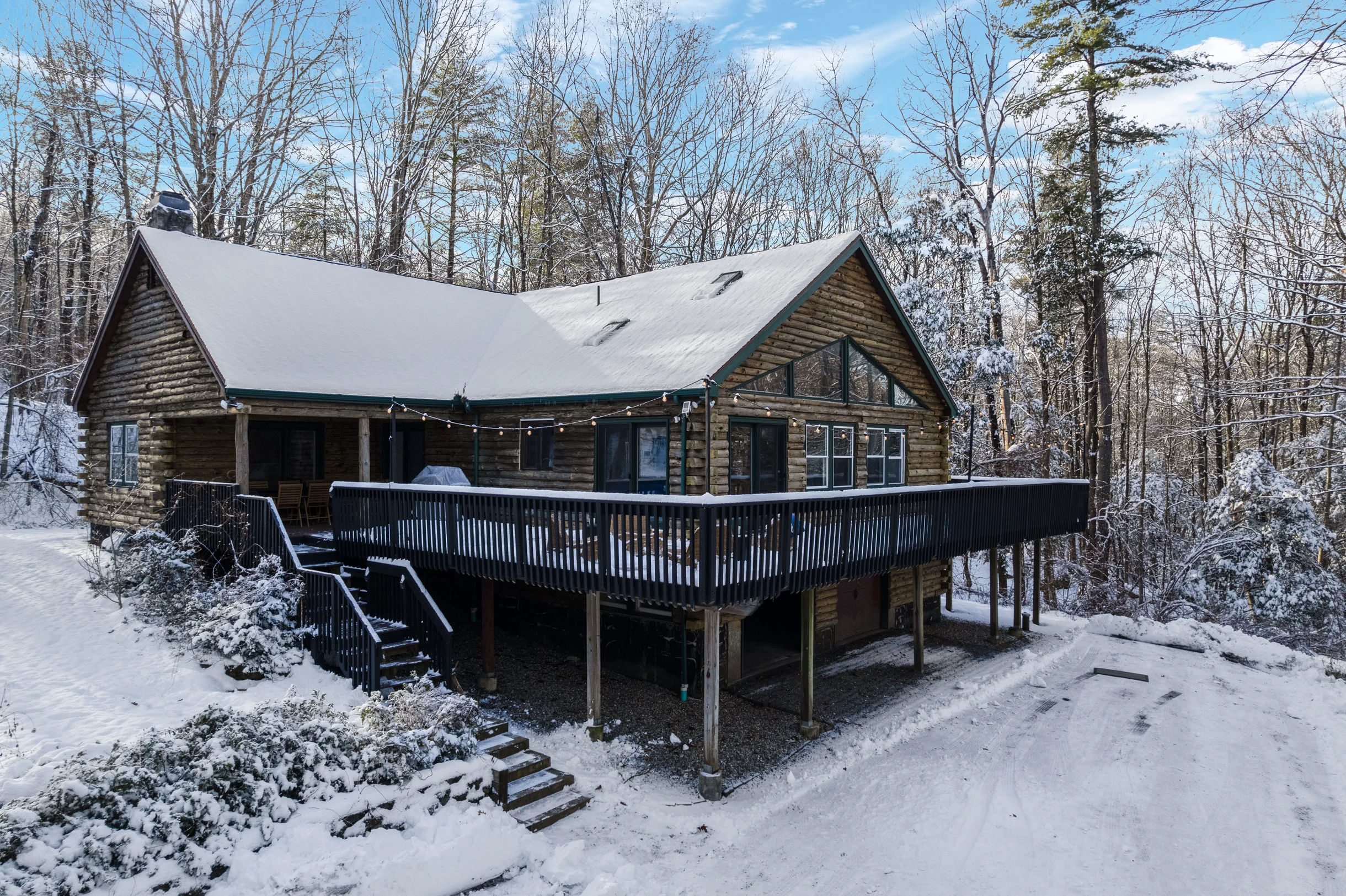 Wander Great Barrington Woods #1