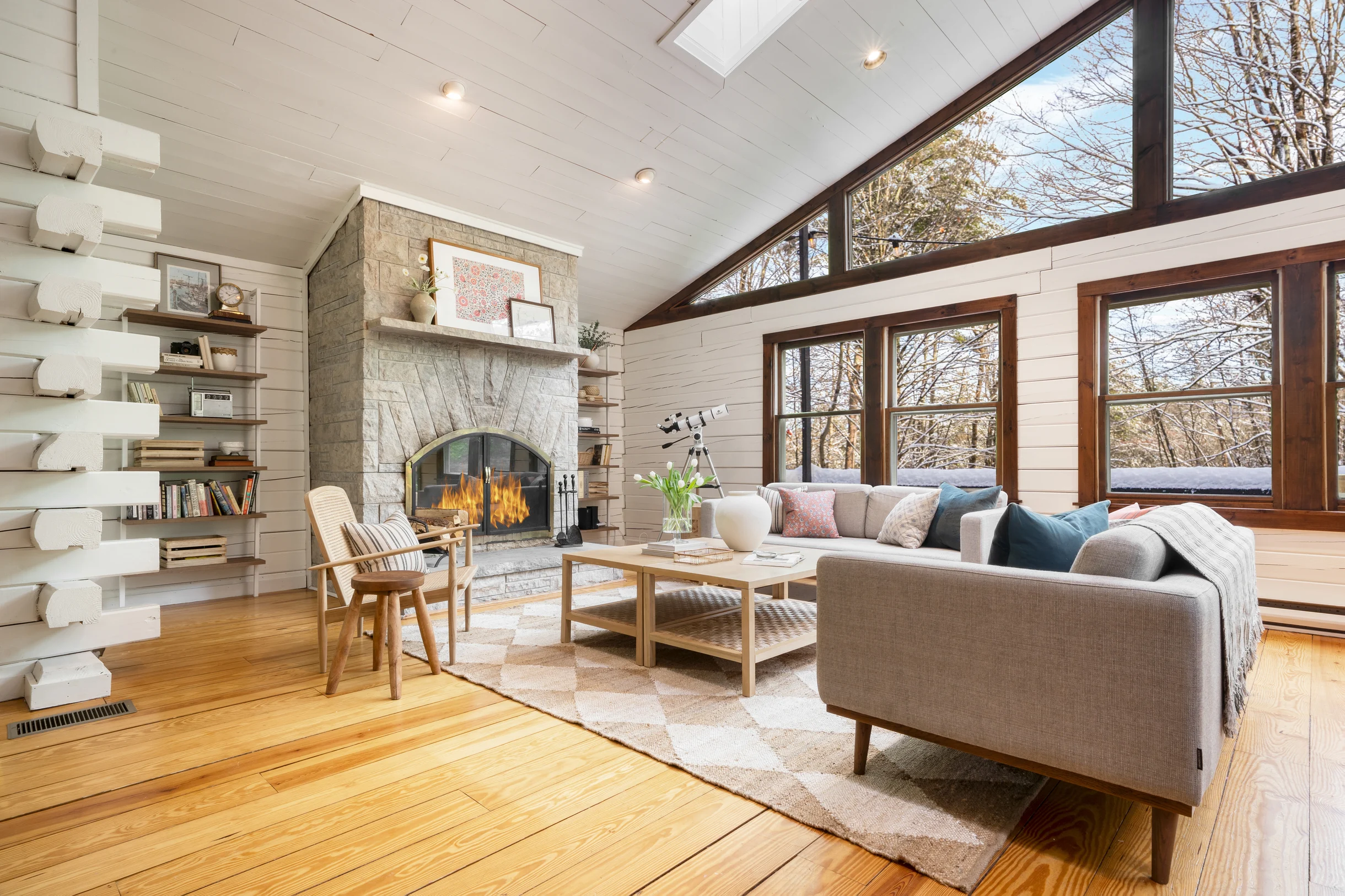 Wander Great Barrington Woods #3