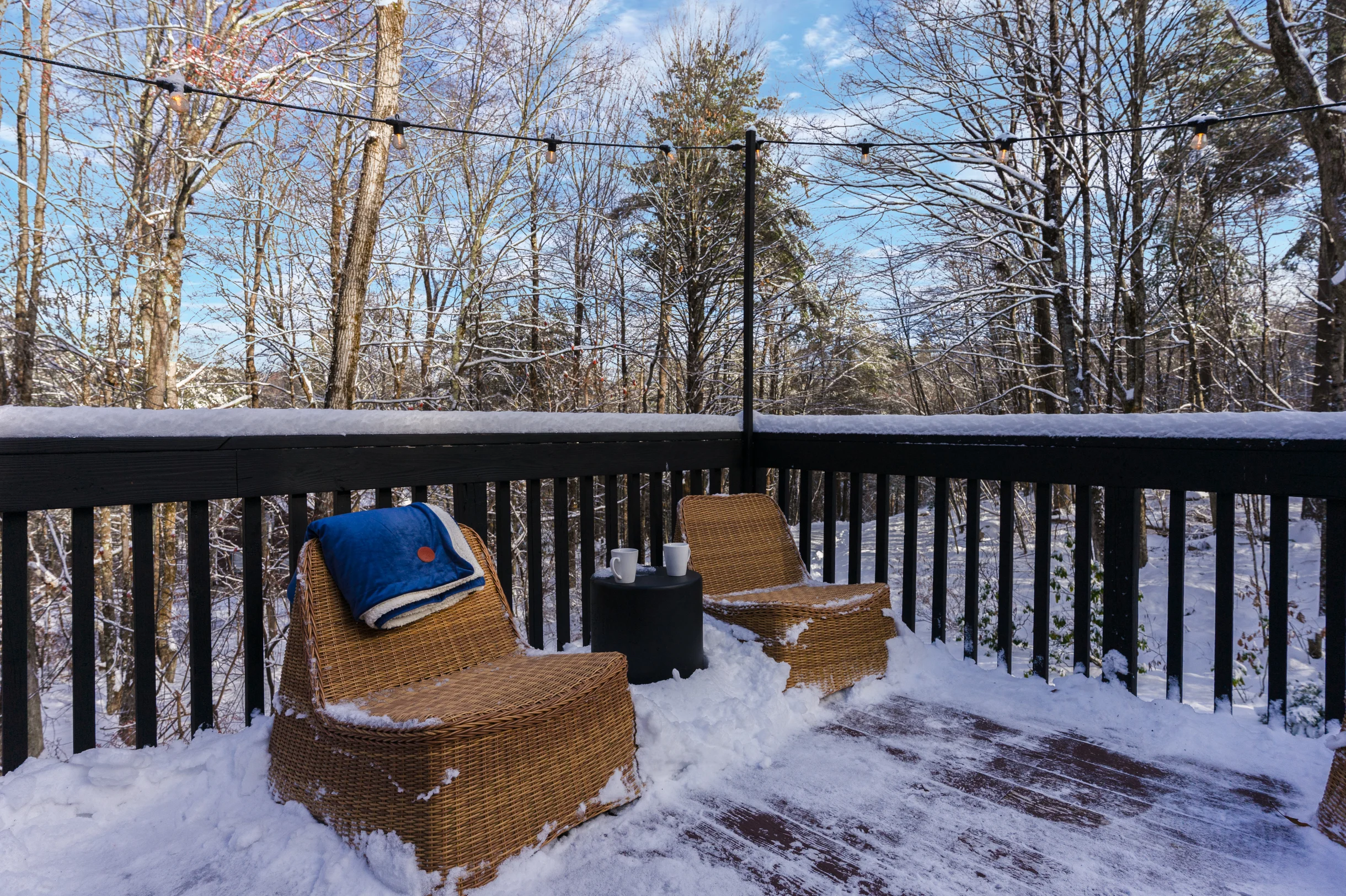 Wander Great Barrington Woods #2