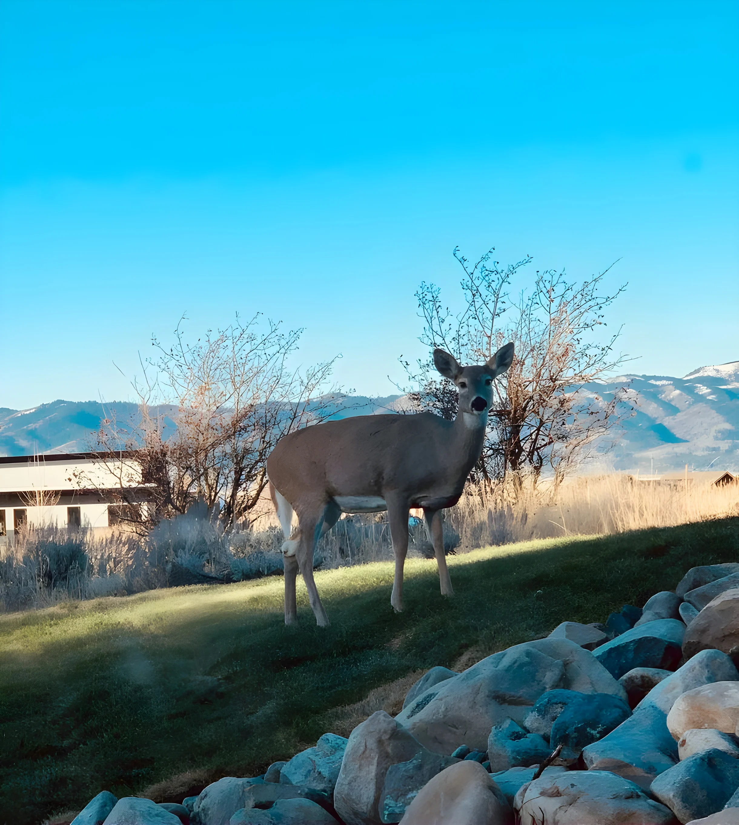 Wander Teton Valley Summit #62