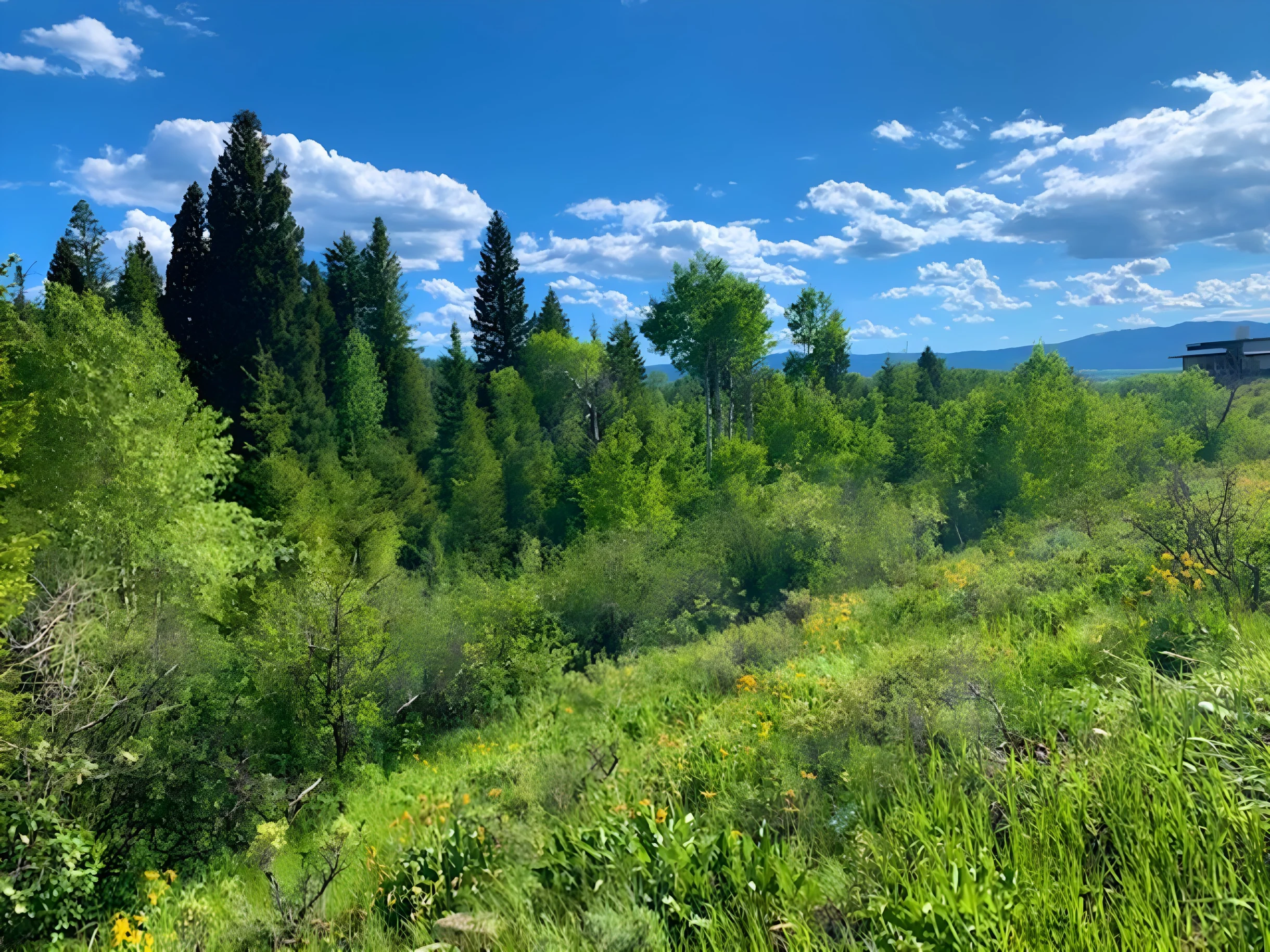 Wander Teton Valley Summit