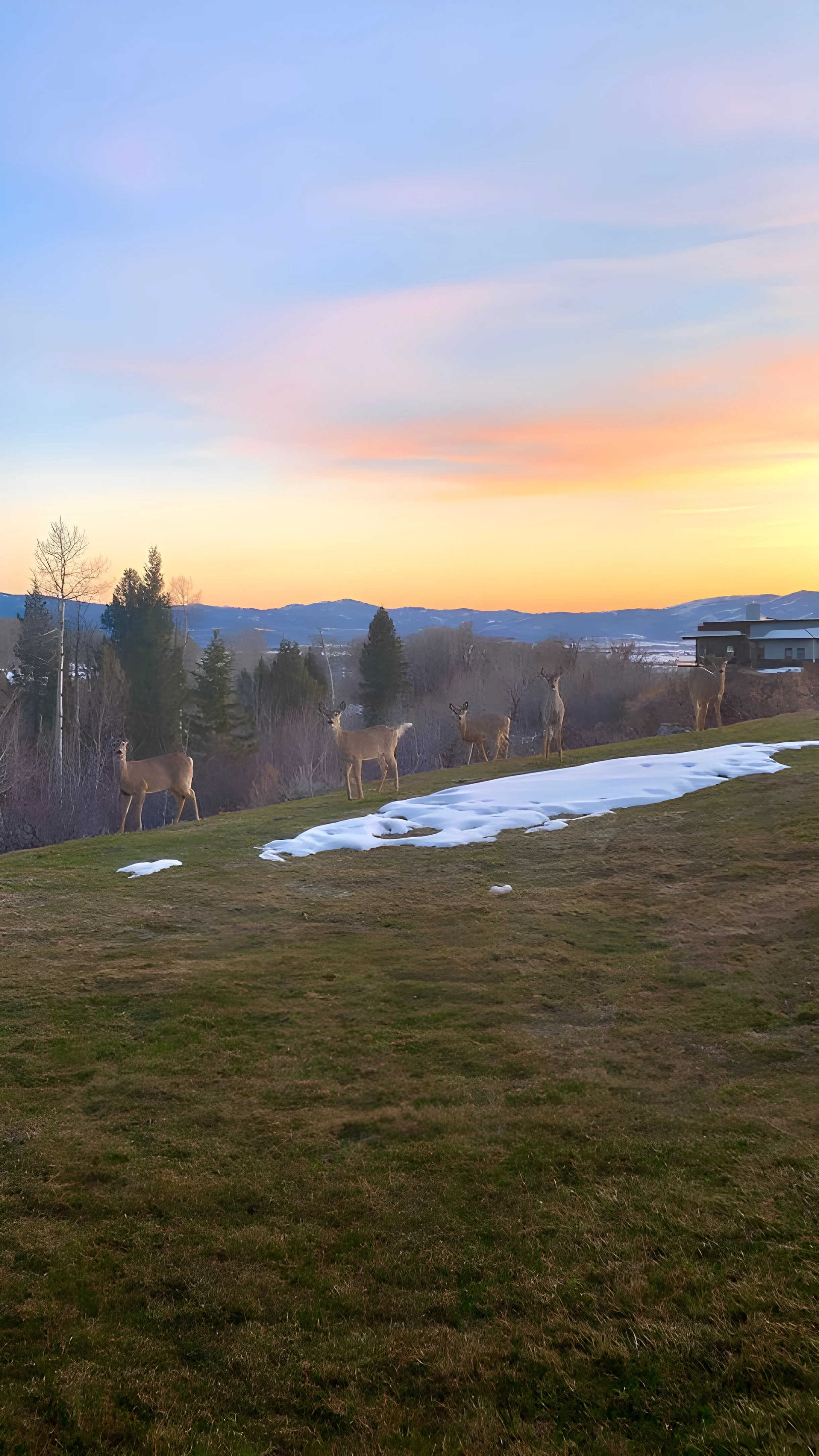 Wander Teton Valley Summit #28