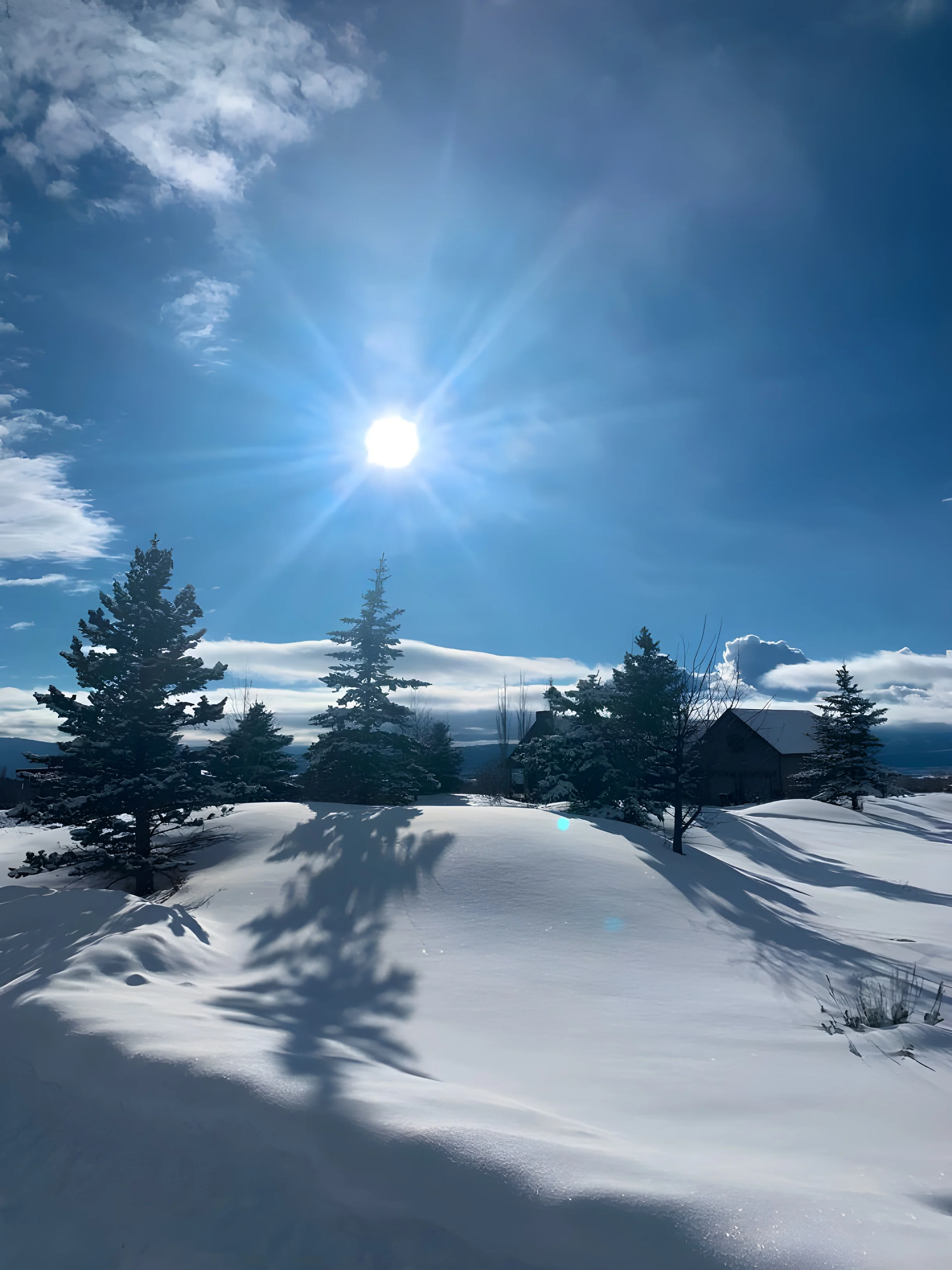 Wander Teton Valley Summit #64