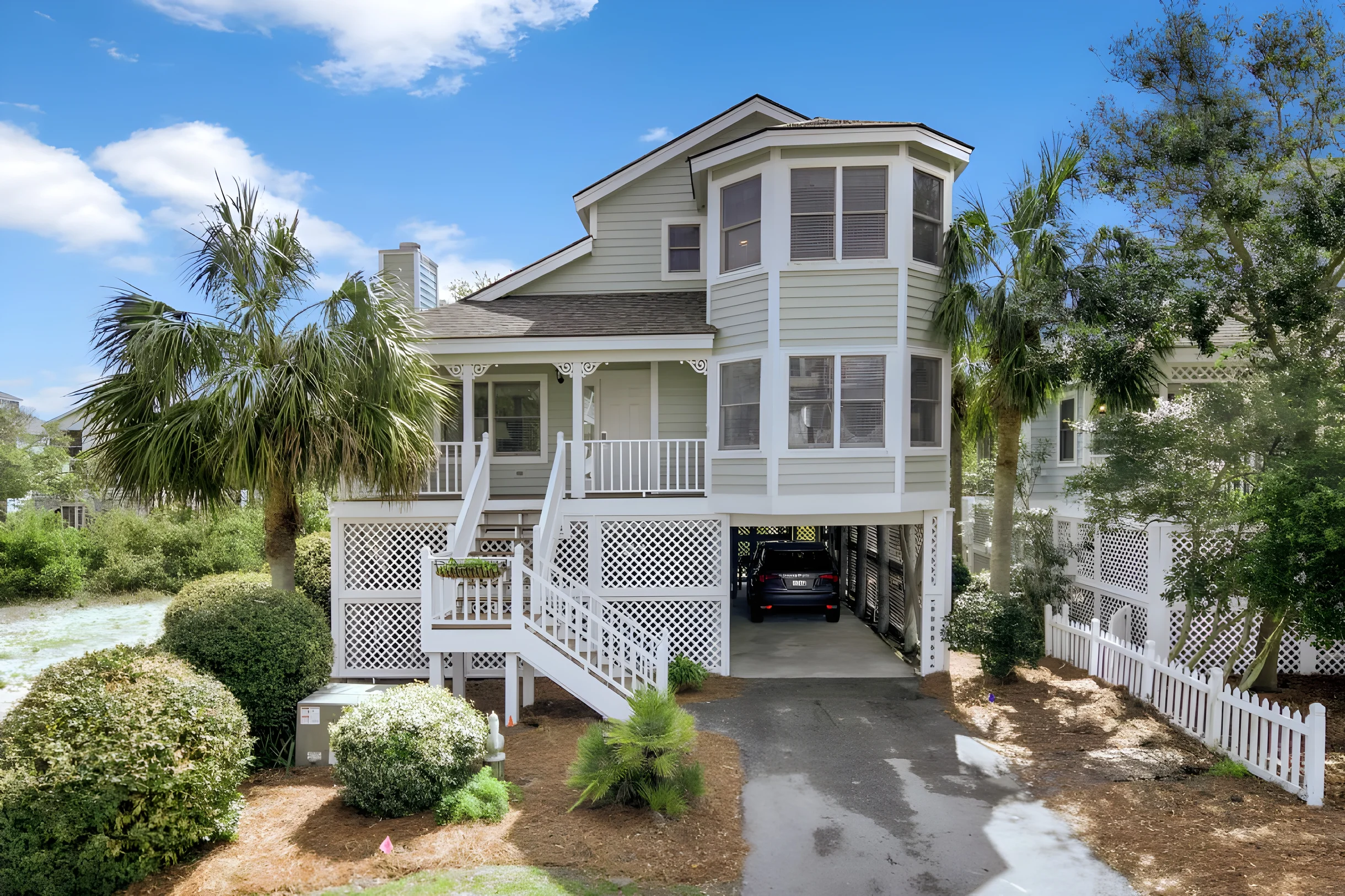 Wander Palms Reach #1