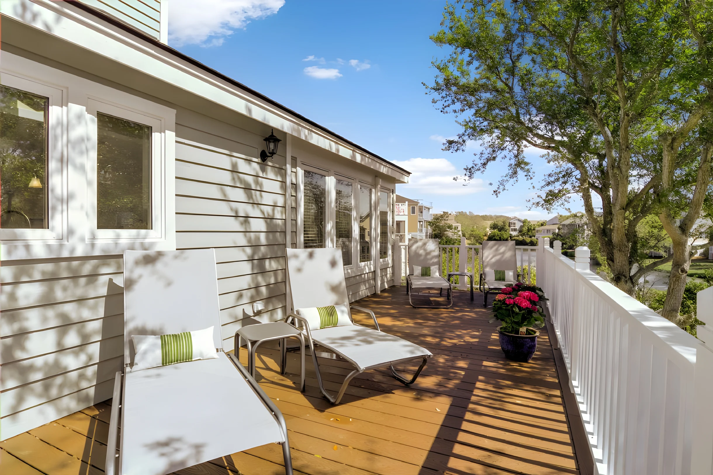 Wander Palms Reach #2