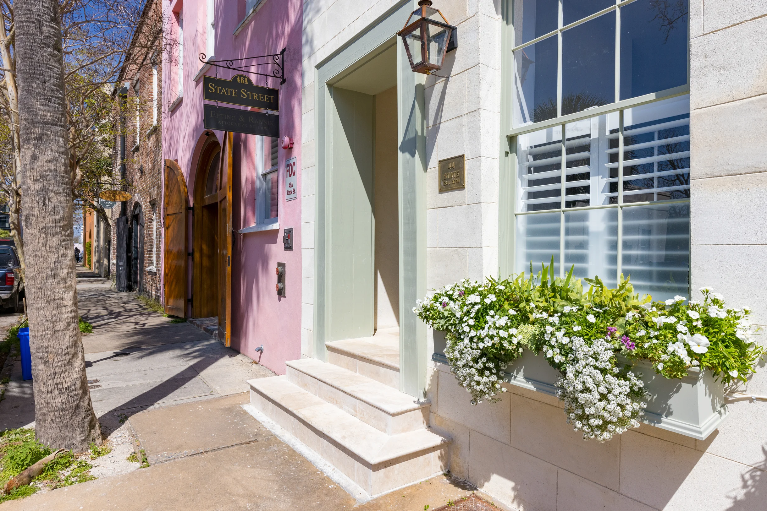 Wander Charleston Moss #5