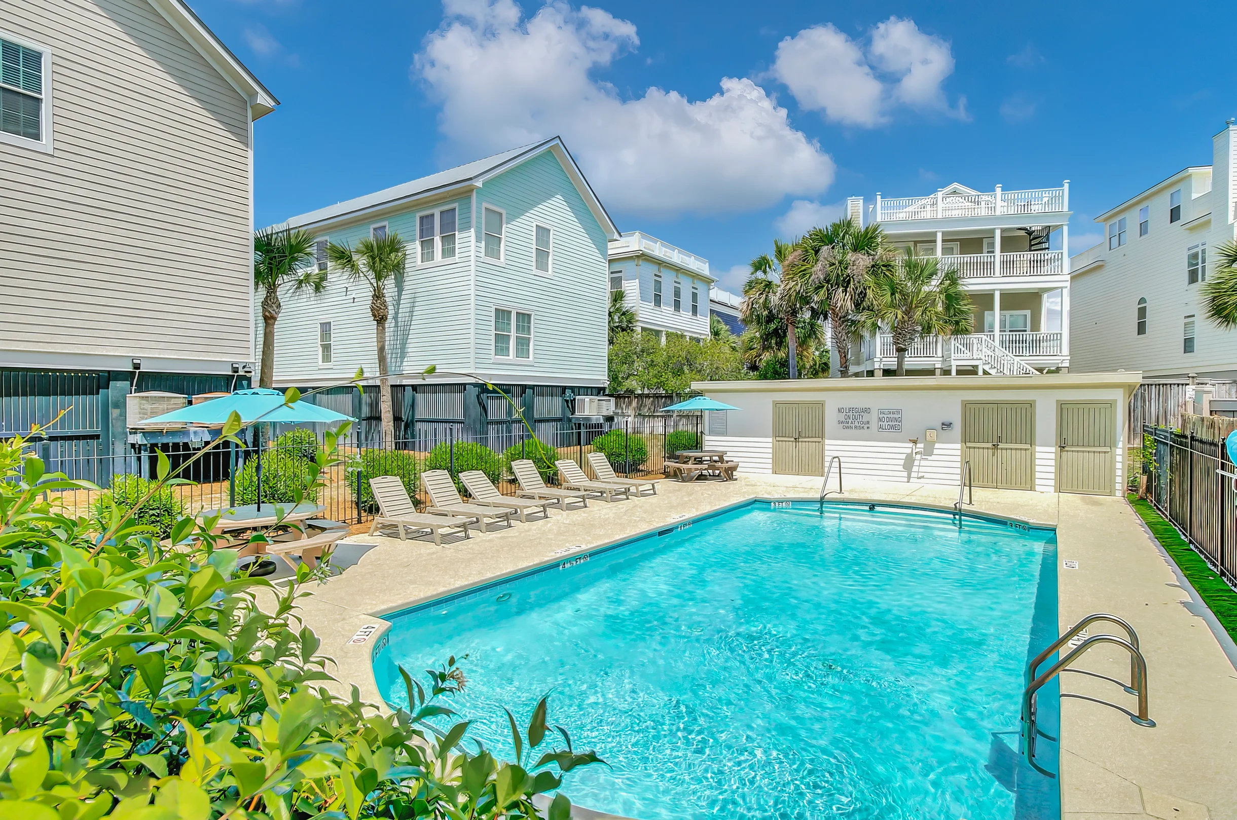 Wander Isle Palms #3