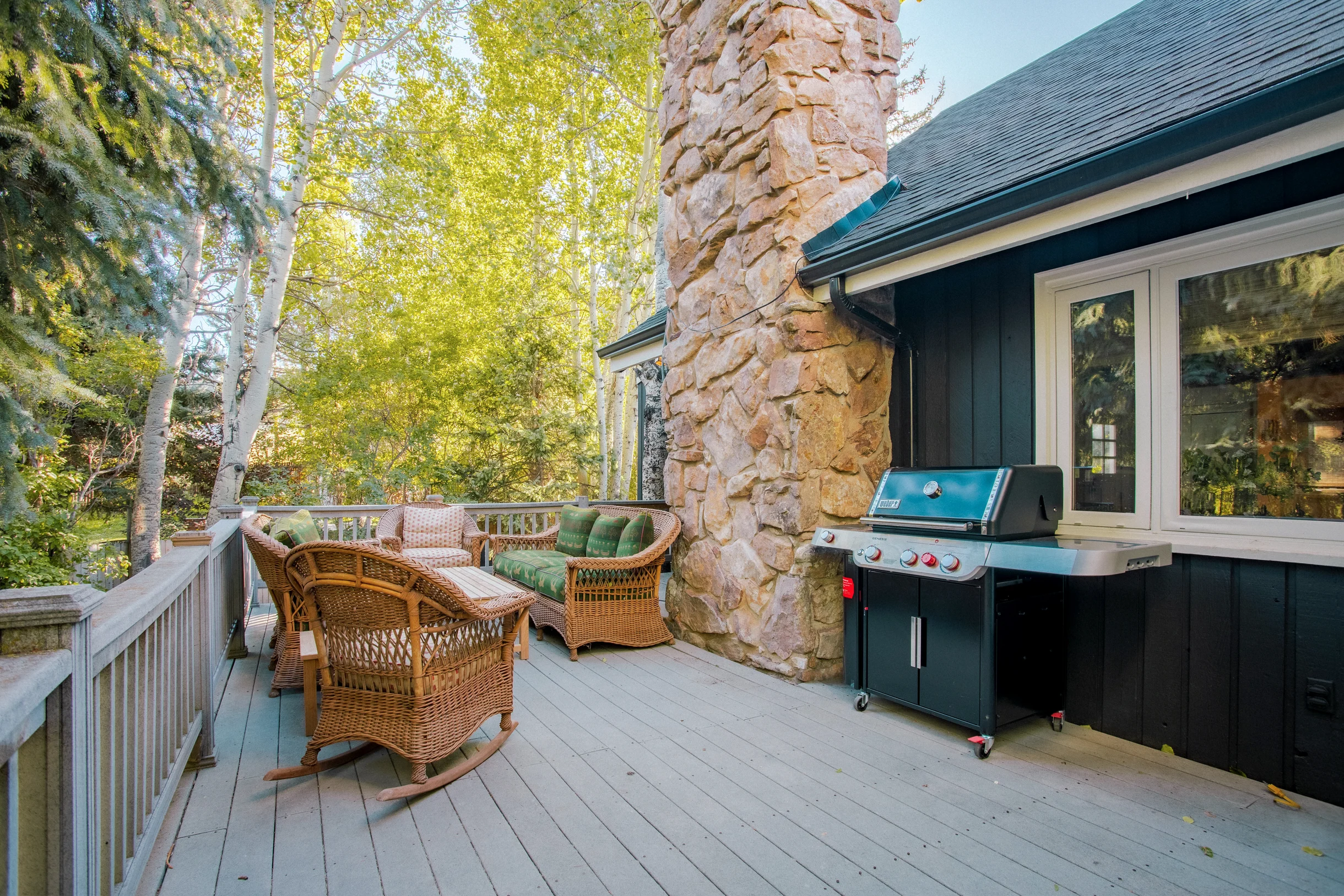 Wander Snowmass Peaks #2