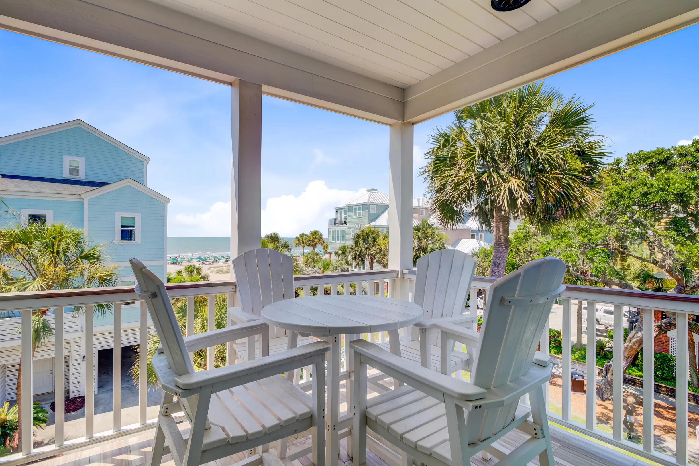 Wander Palms Allure #2