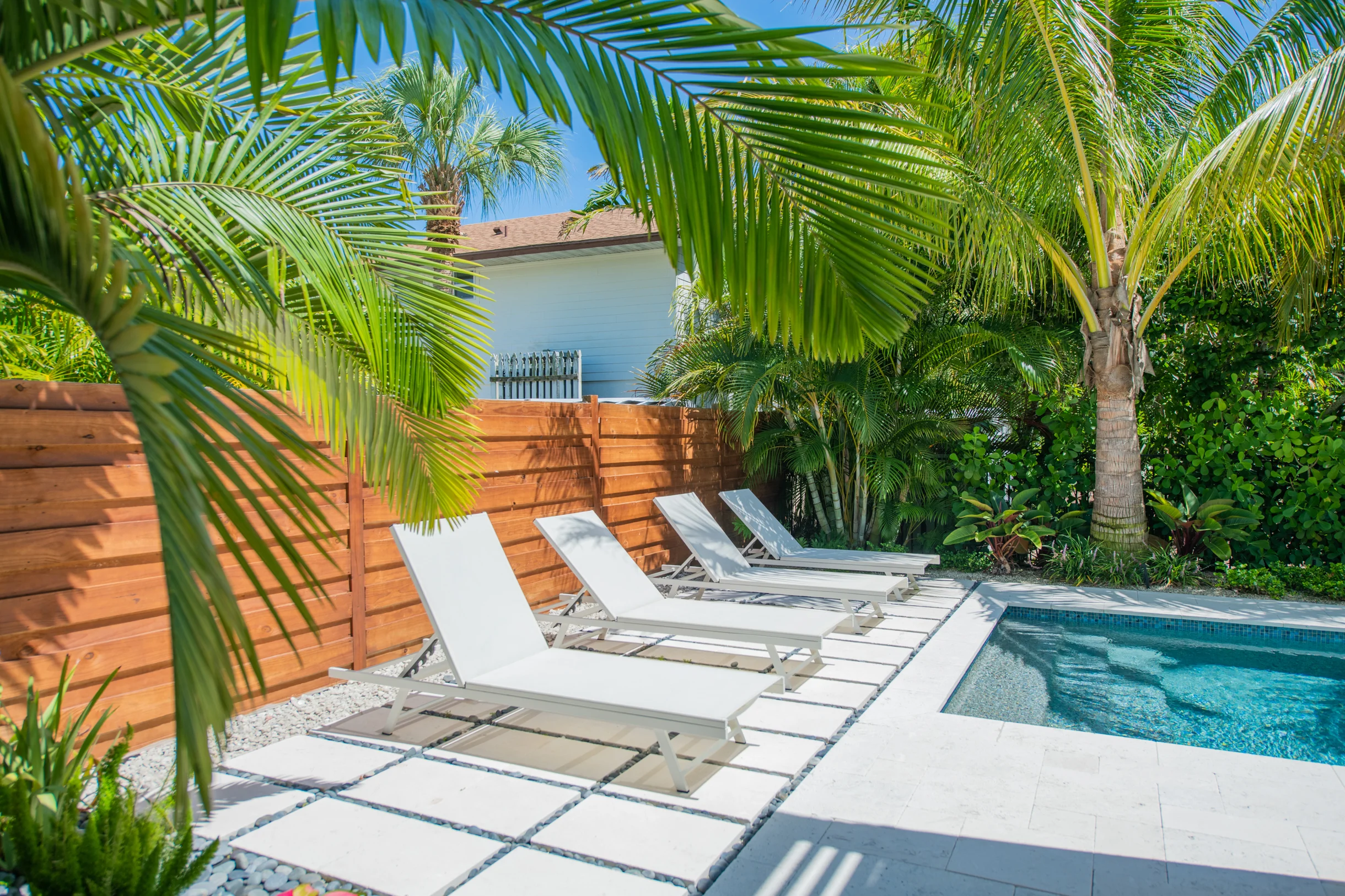 Wander Holmes Beach Palms