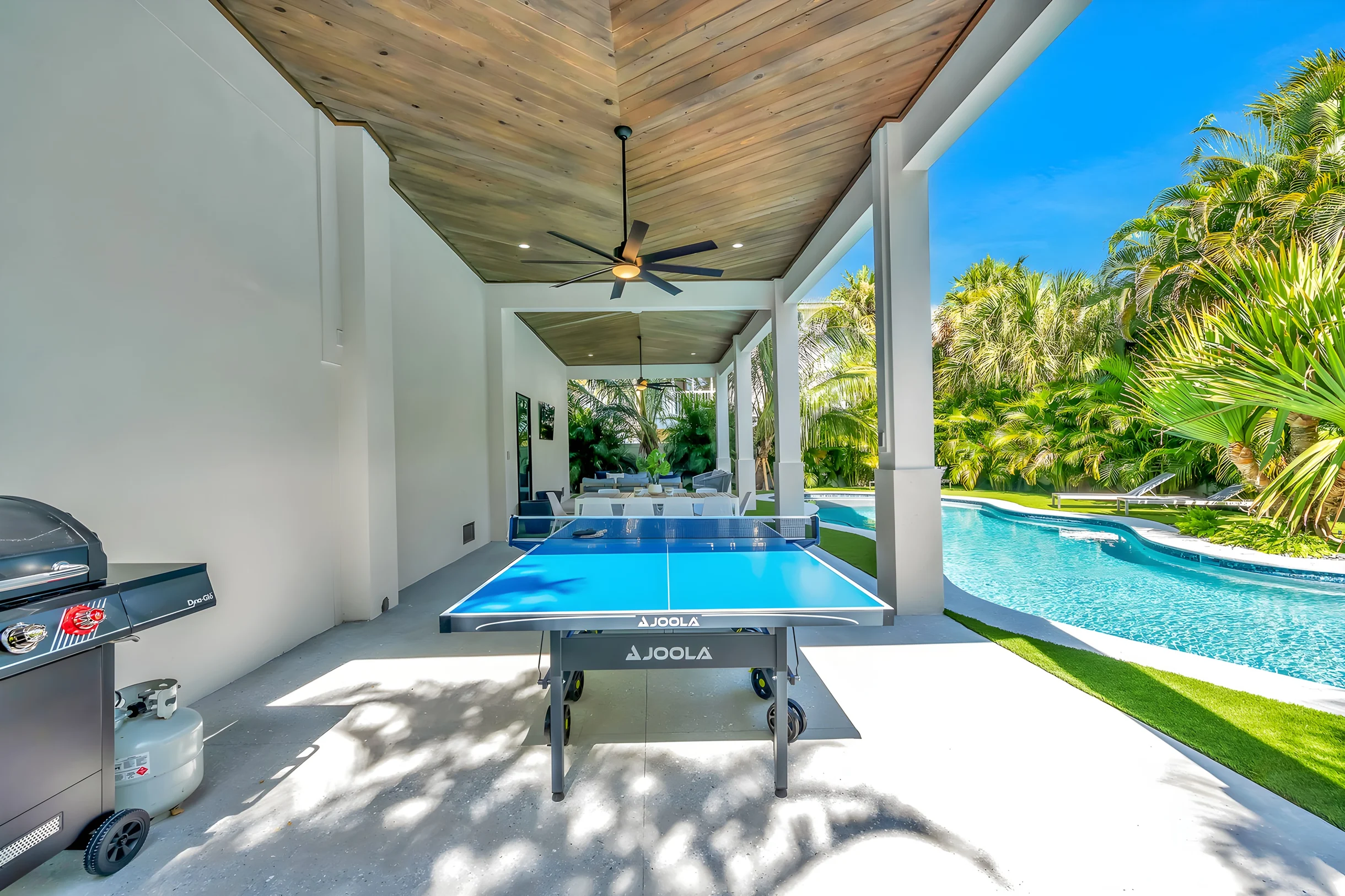 Wander Bradenton Beach Mangroves #33