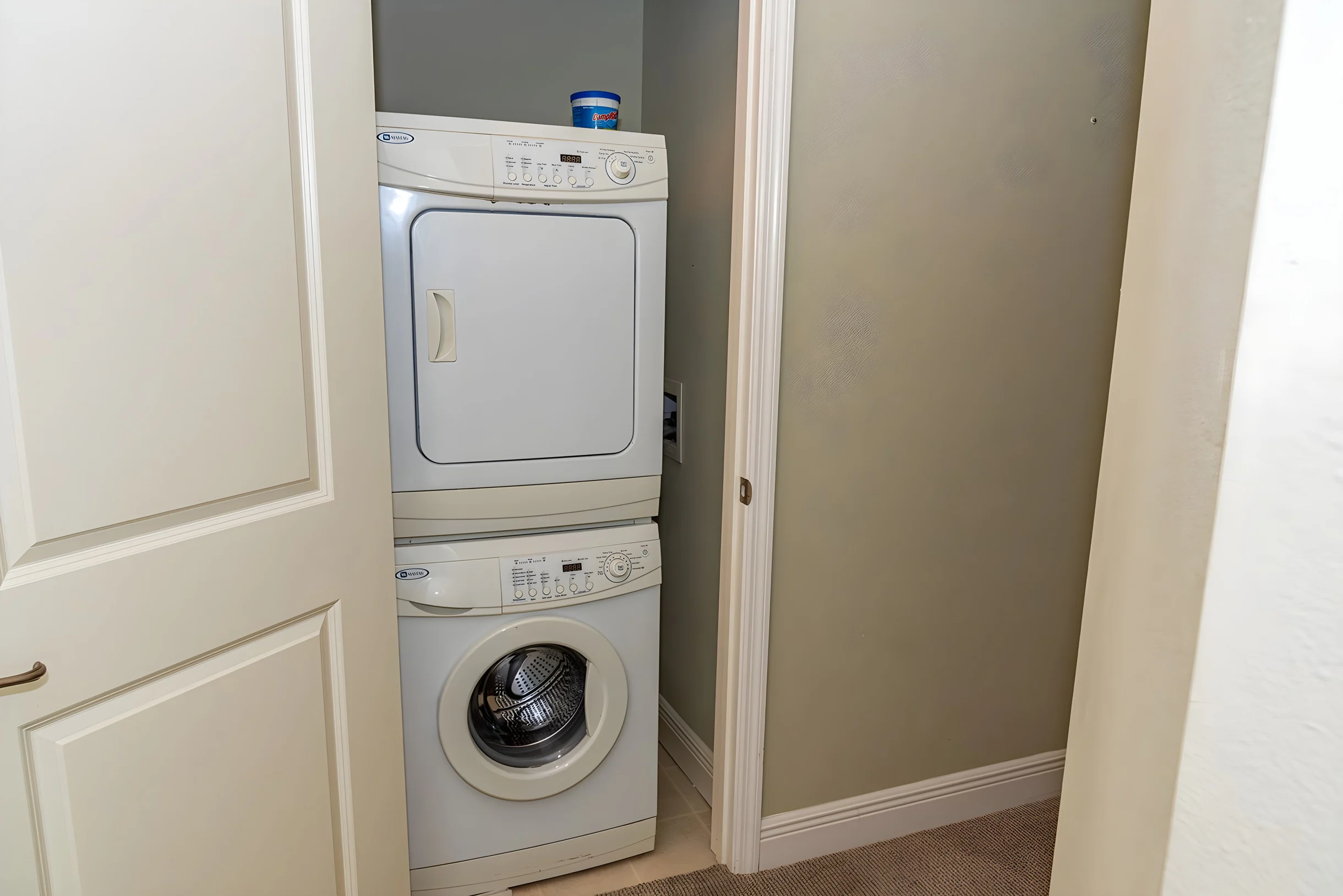 Wander Bradenton Beach Palms #46