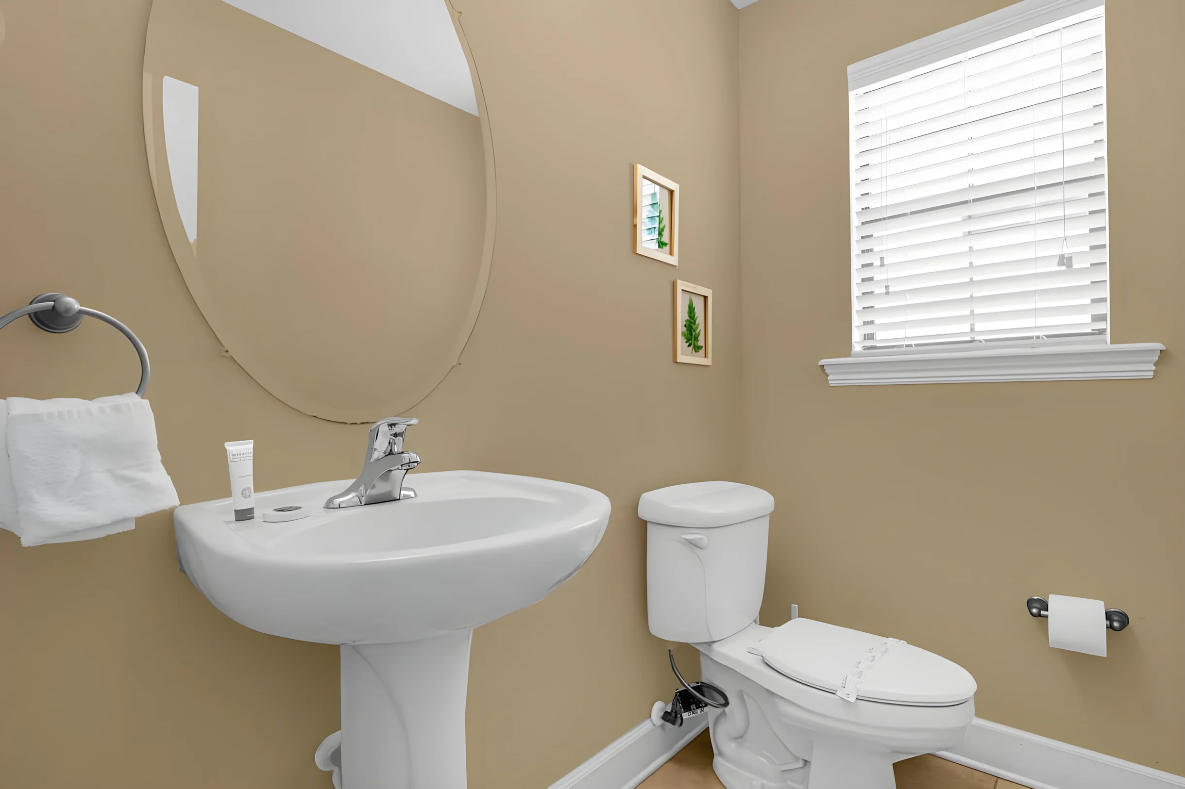 Wander Buena Vista Palms