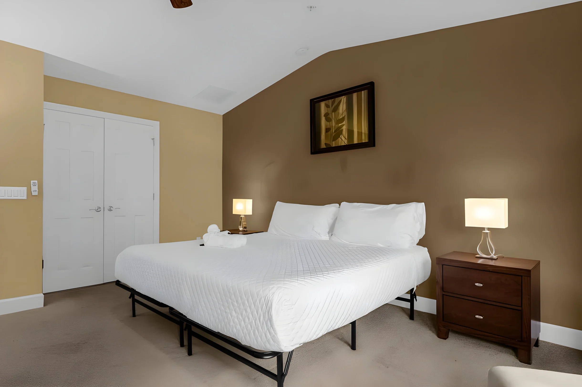 Wander Buena Vista Palms #32