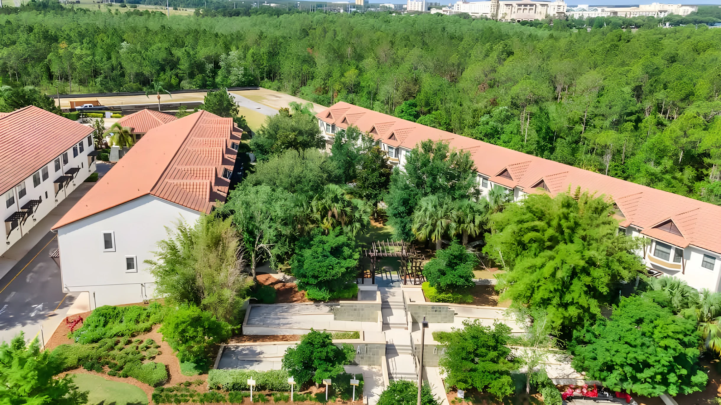 Wander Disney Springs #47