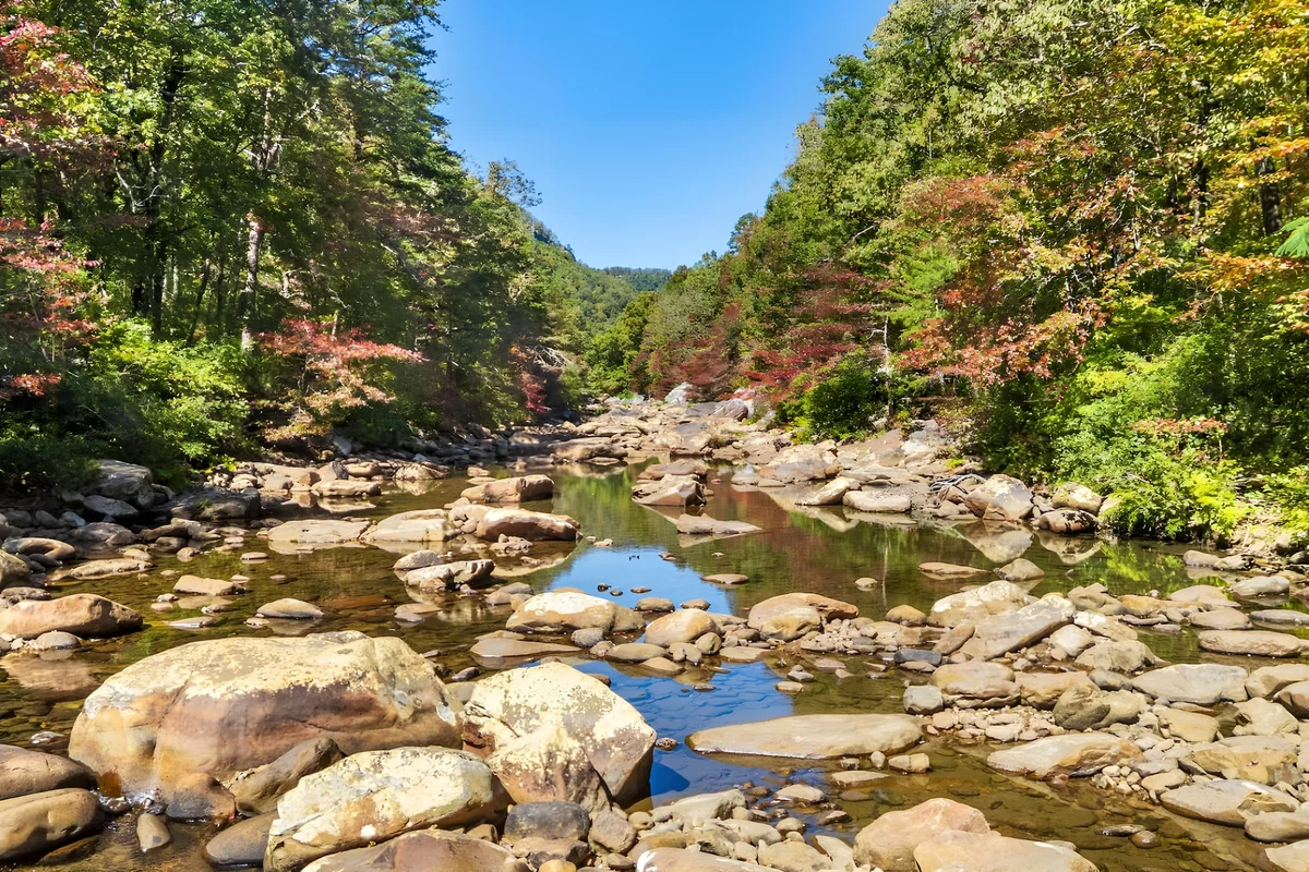 Home in Soddy-Daisy property photo 4