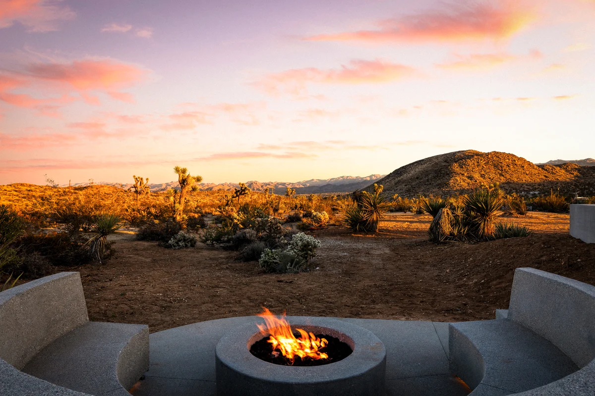 Wander Yucca Valley Blooms