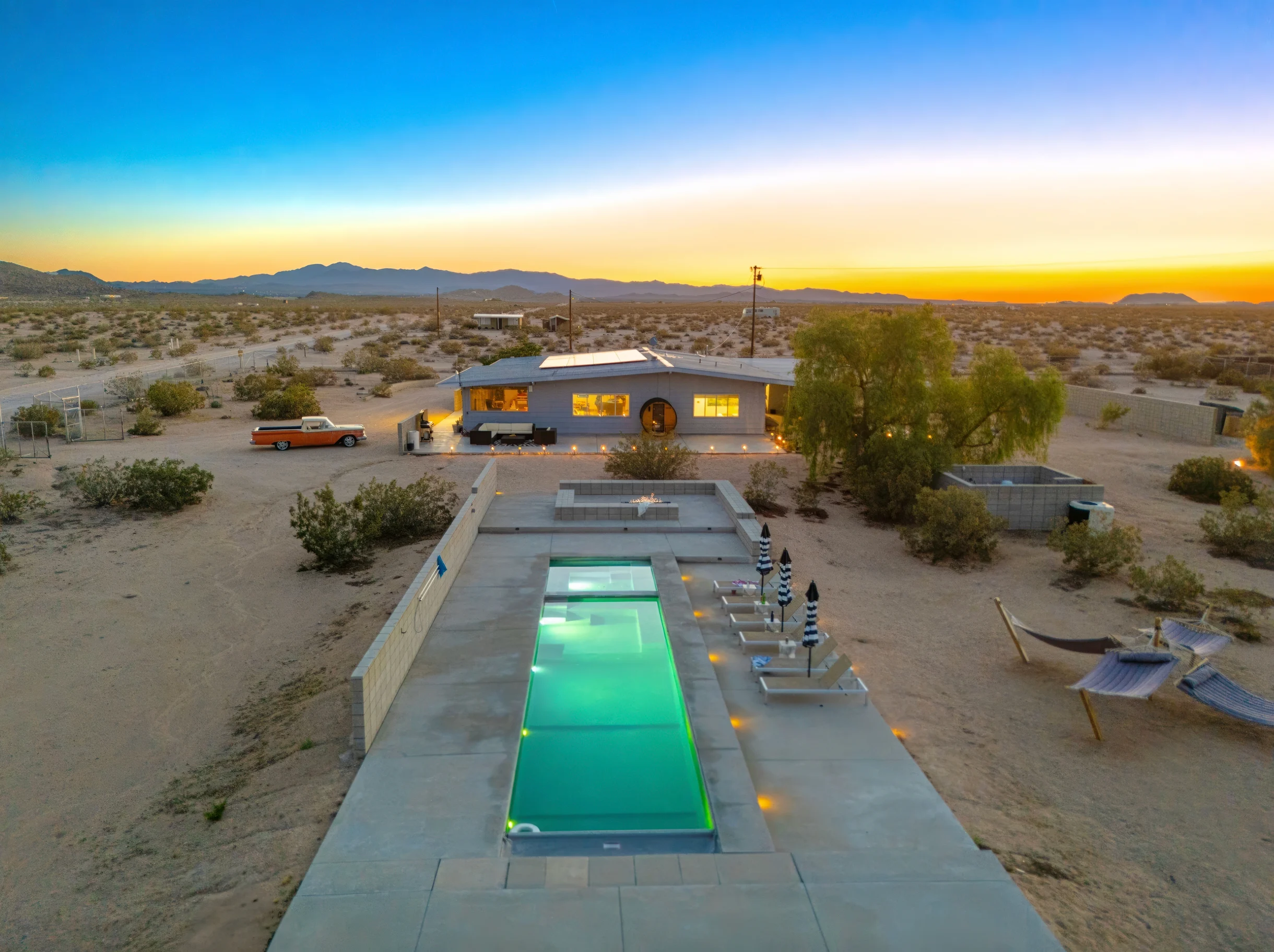 Wander Joshua Tree Cacti #1