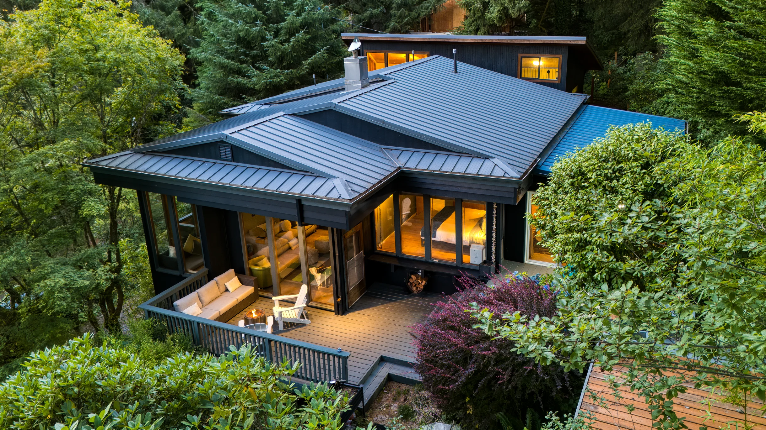 Wander Manzanita Forest #1