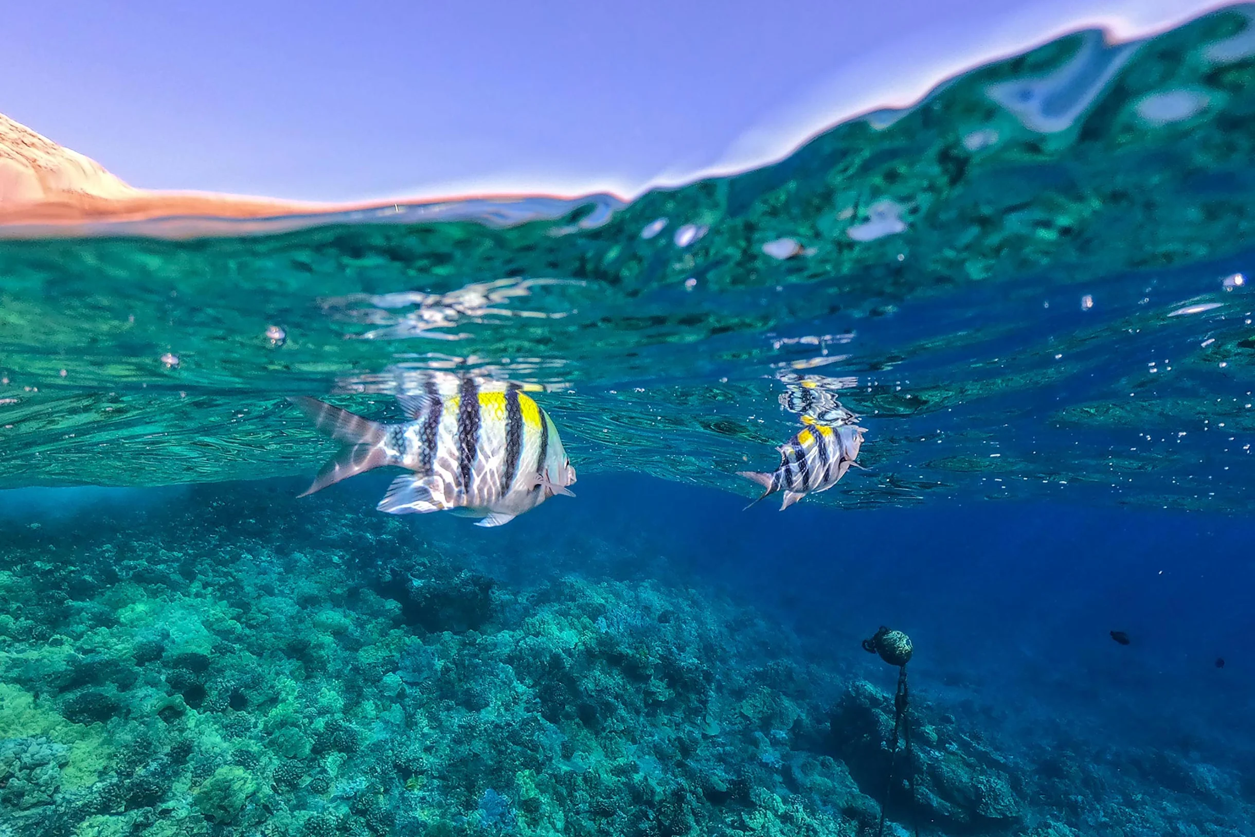 Wailea Elua Village 1201 #10