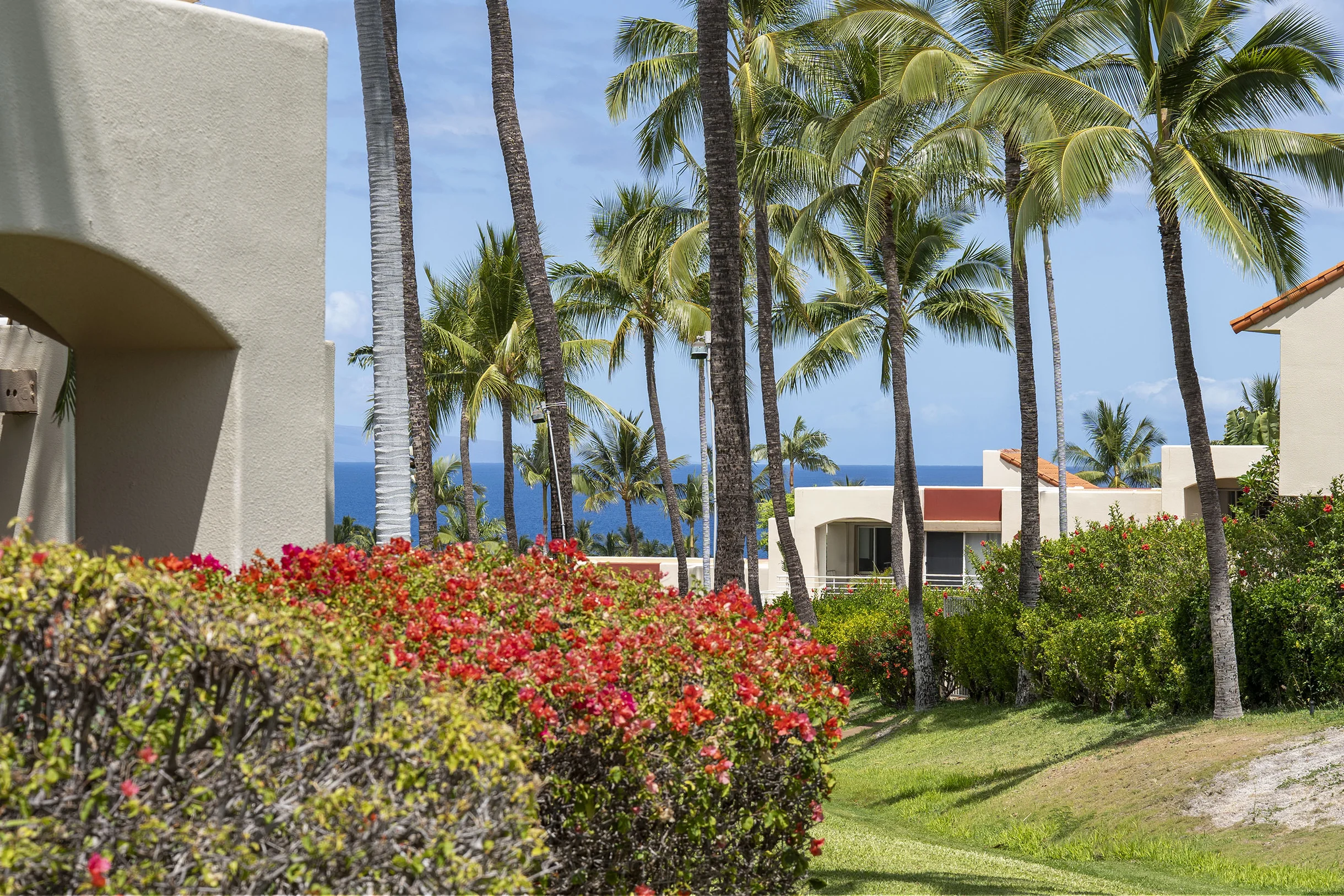 The Palms at Wailea 703 #41