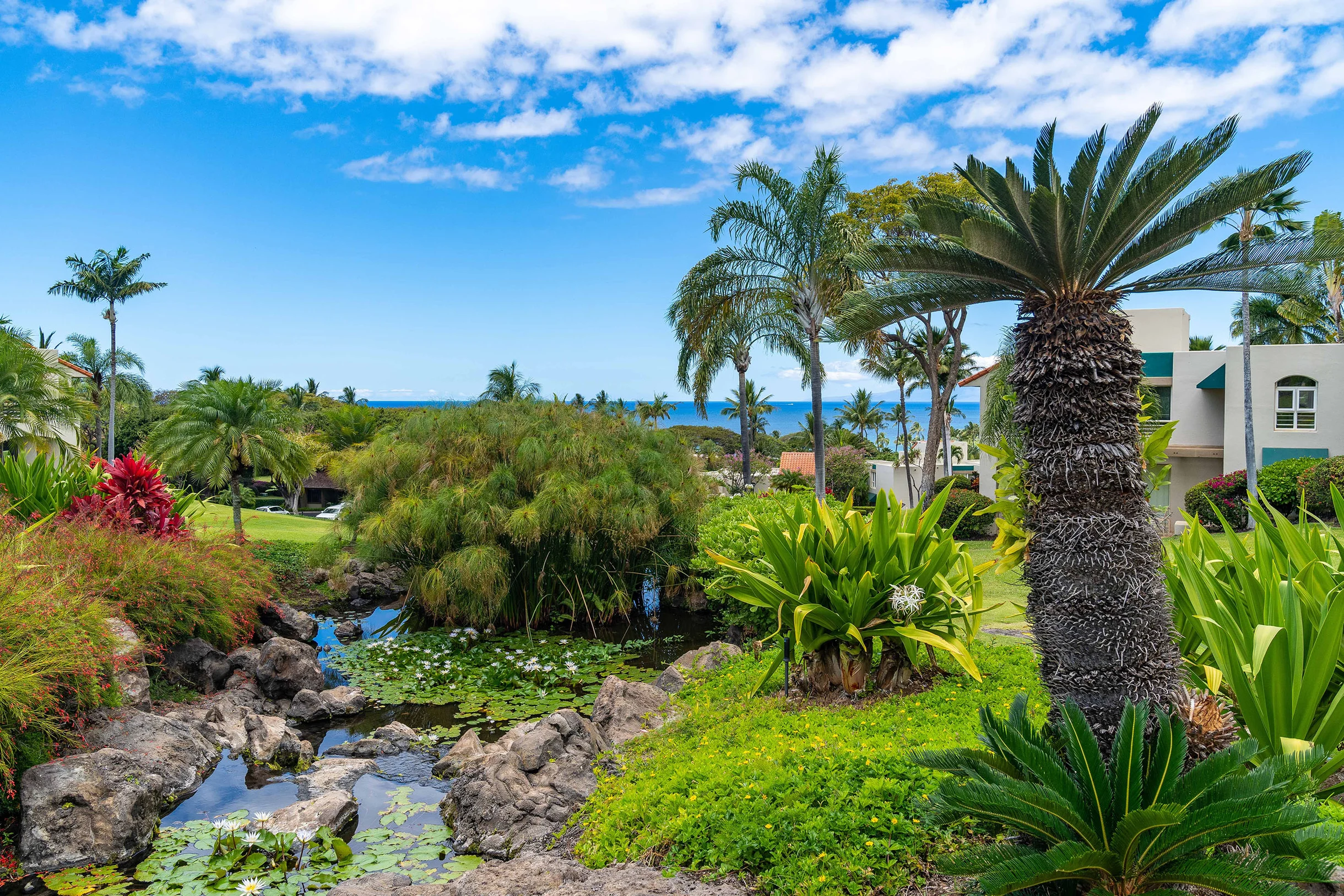 The Palms at Wailea 703 #39