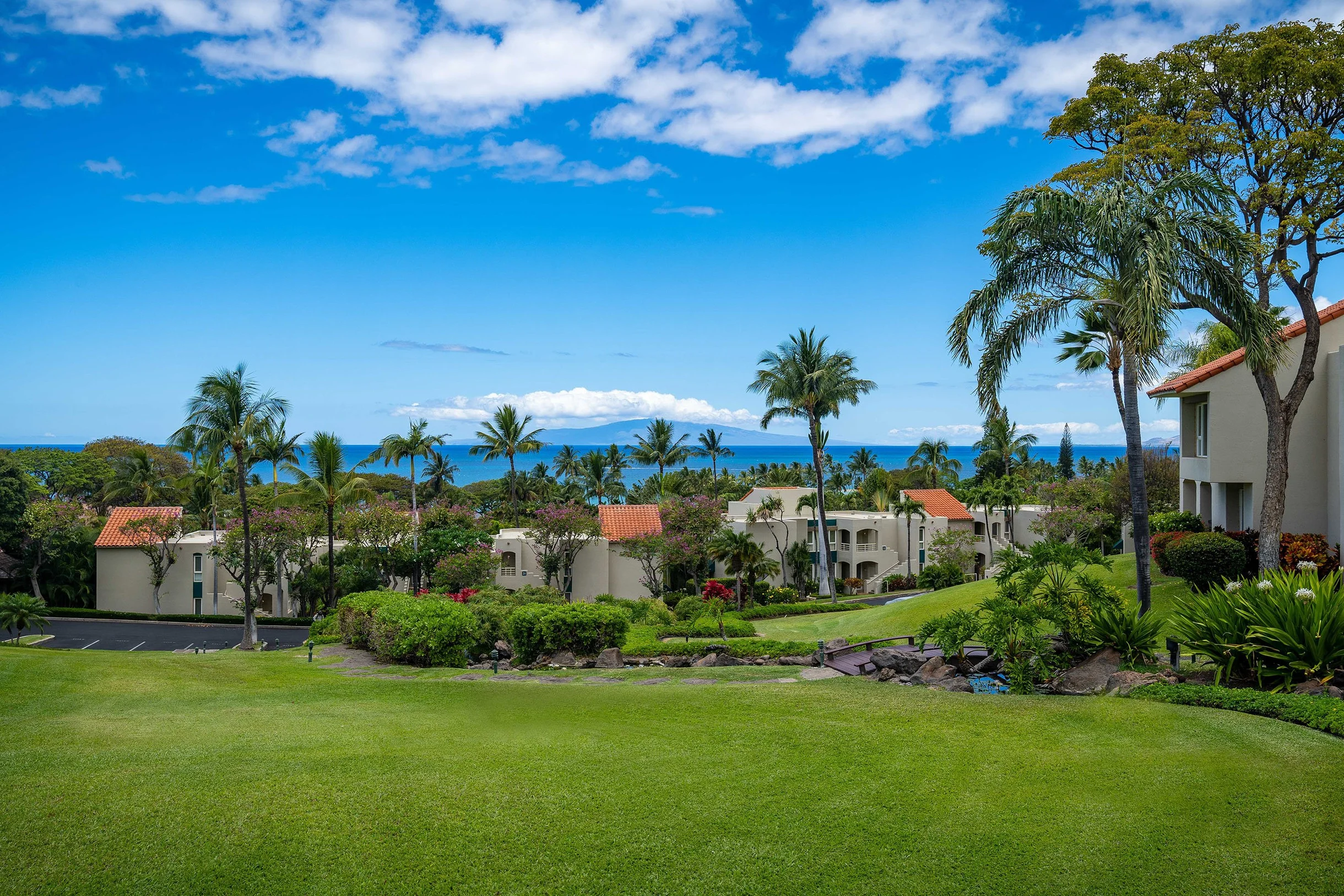 The Palms at Wailea 703 #49