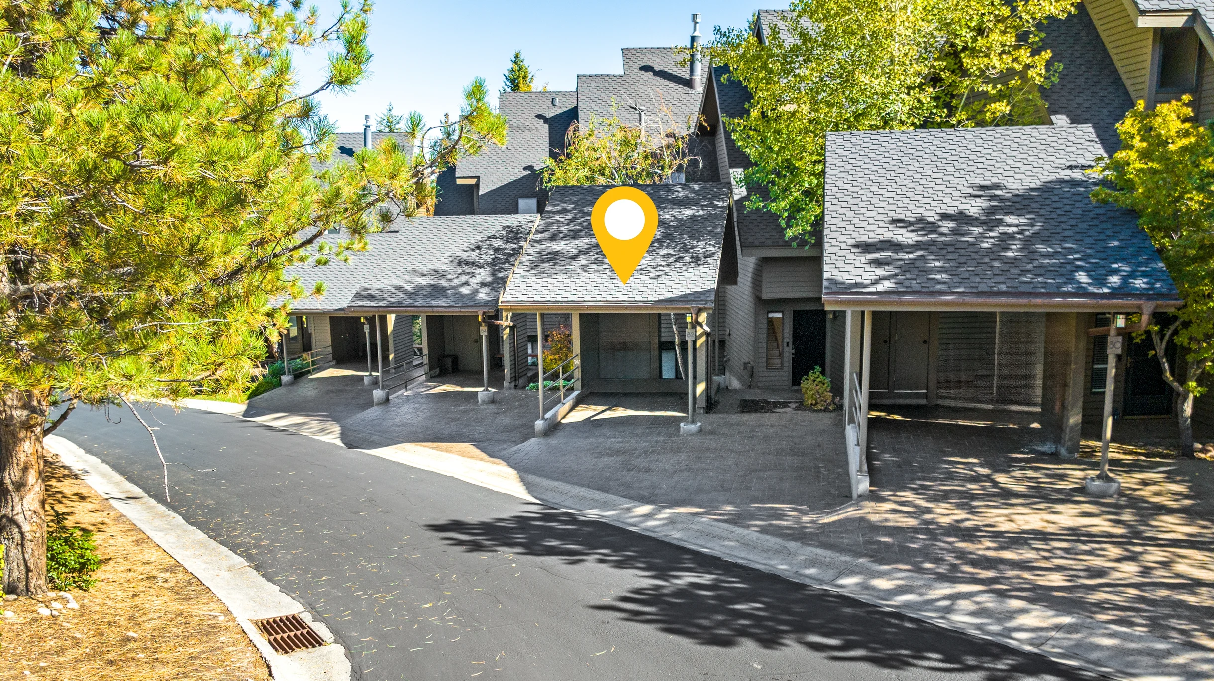 Wander Park City Allure #89