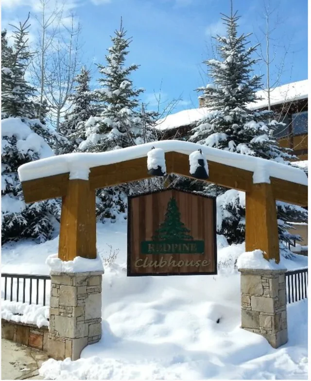 Wander Park City Allure #41