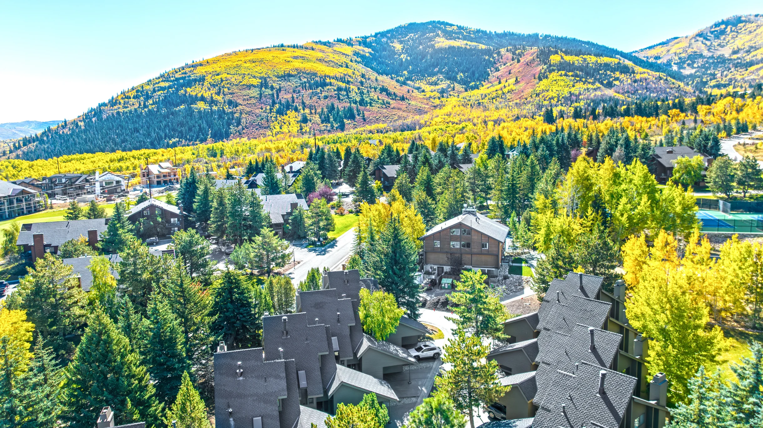 Wander Park City Allure #38