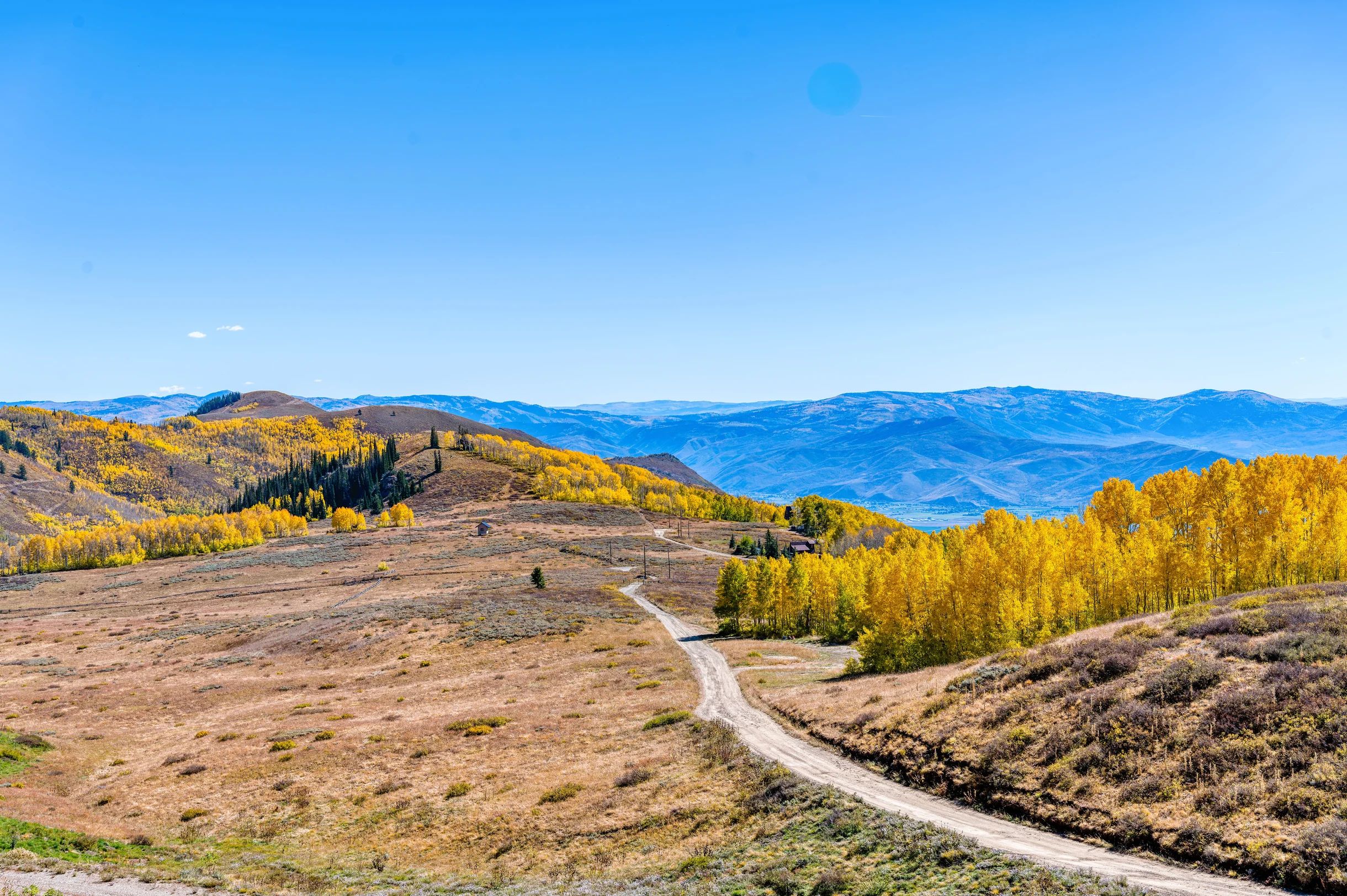 Wander Park City Allure #71