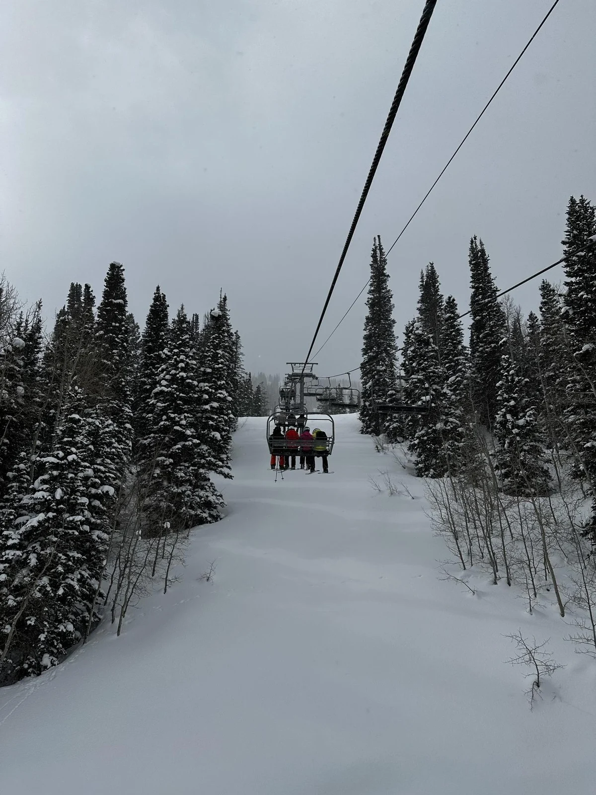 Wander Park City Allure #70